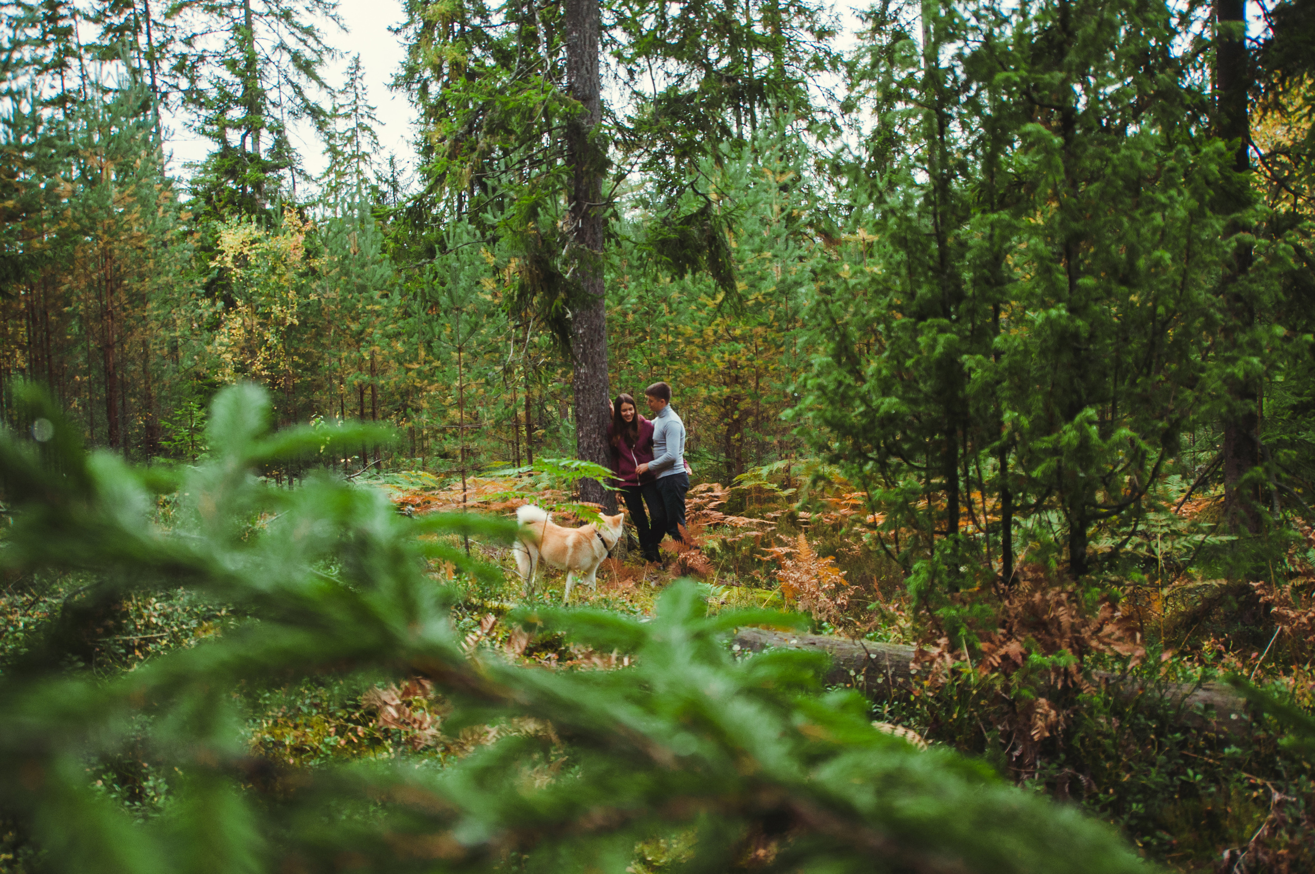 НАМИ. Семейный фотограф в Санкт-Петербурге Льдокова Екатерина