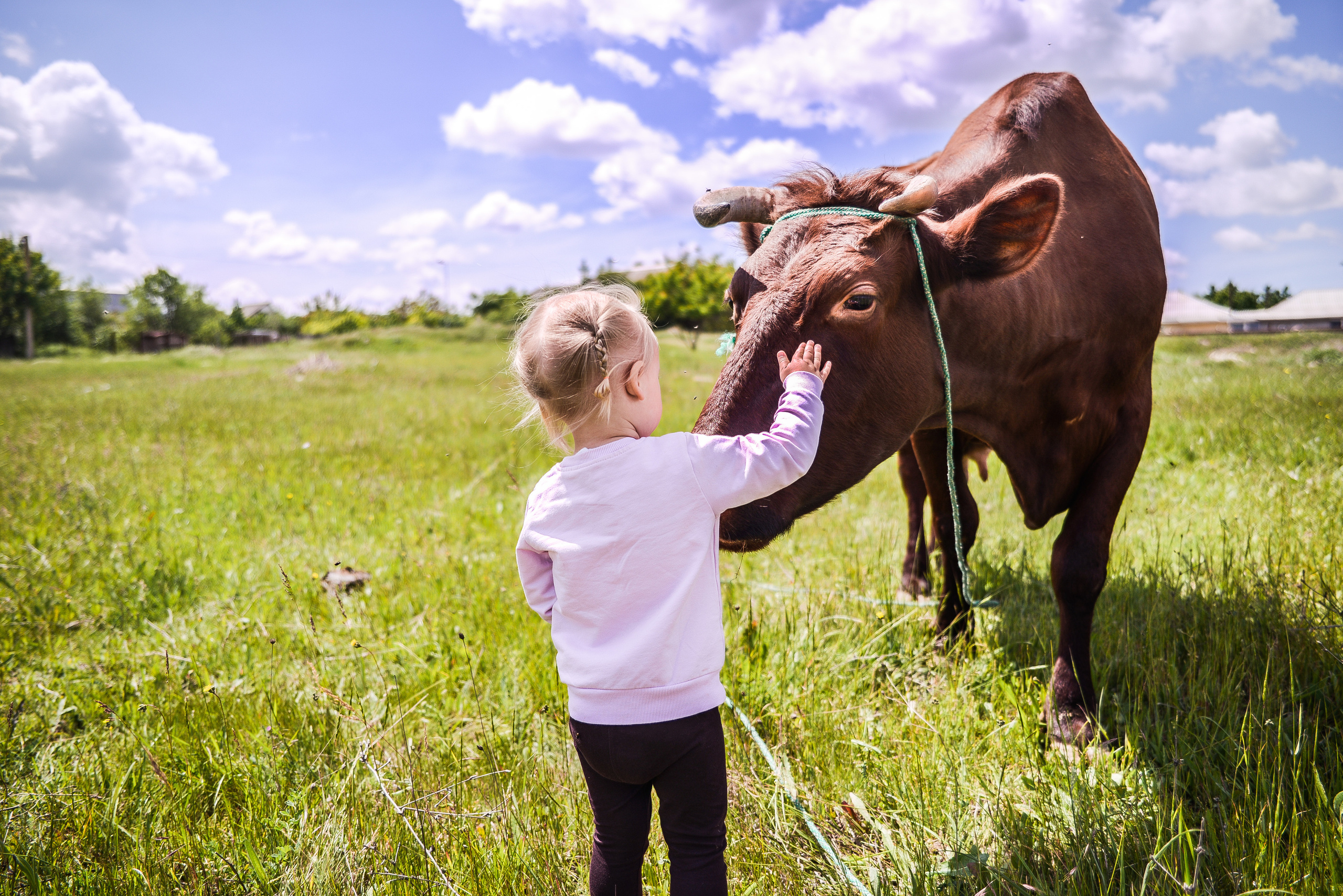Семейный фотограф в Санкт-Петербурге Льдокова Екатерина