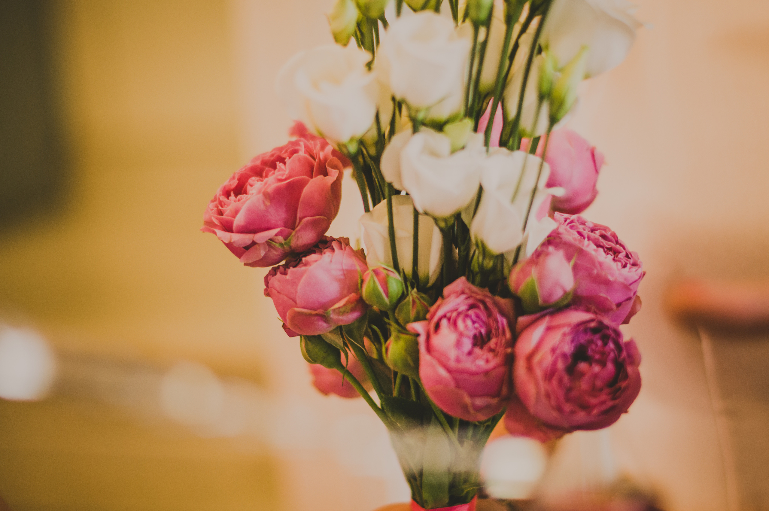 Свадьба. Семейный фотограф в Санкт-Петербурге Льдокова Екатерина