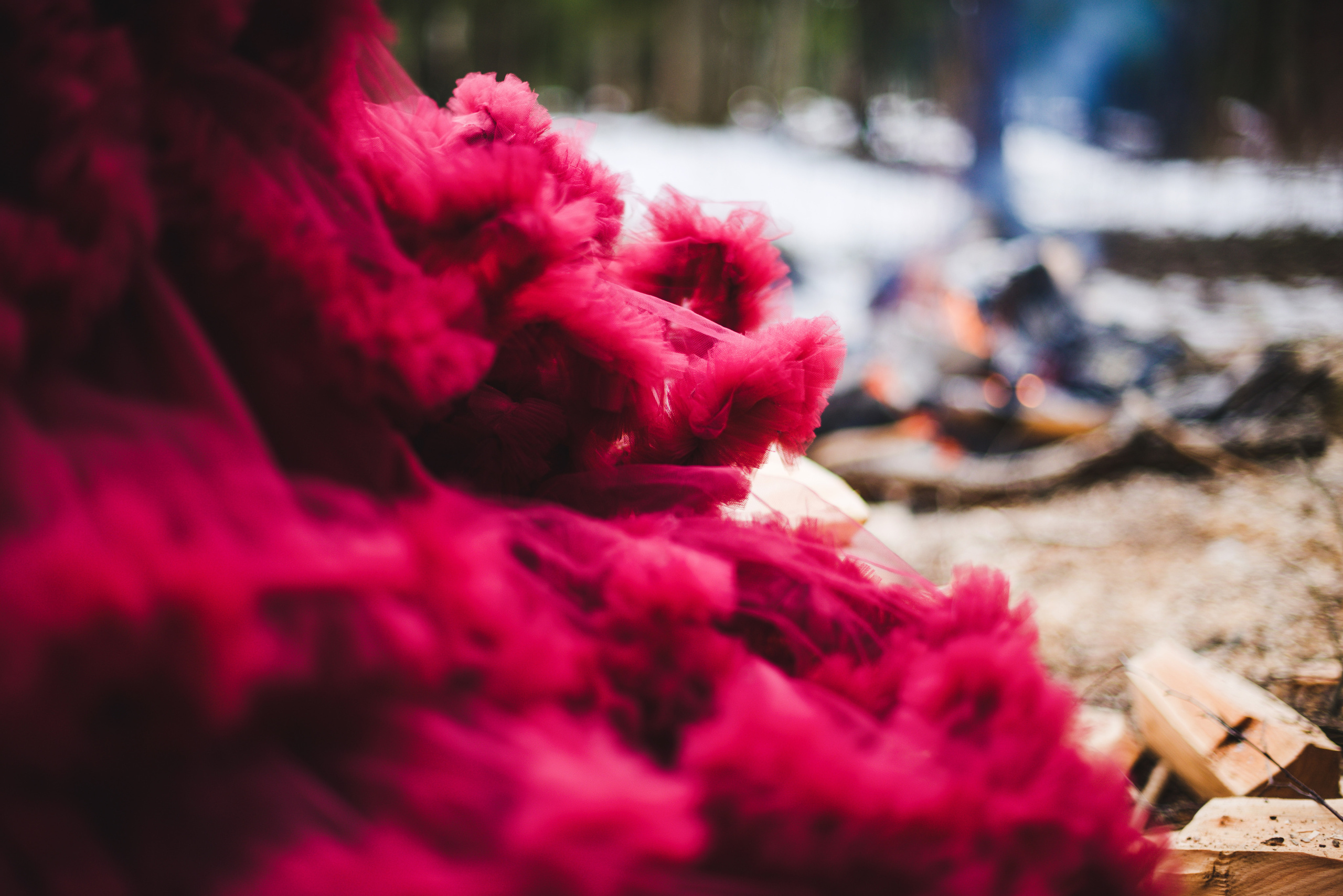 ПОЛИ. Семейный фотограф в Санкт-Петербурге Льдокова Екатерина