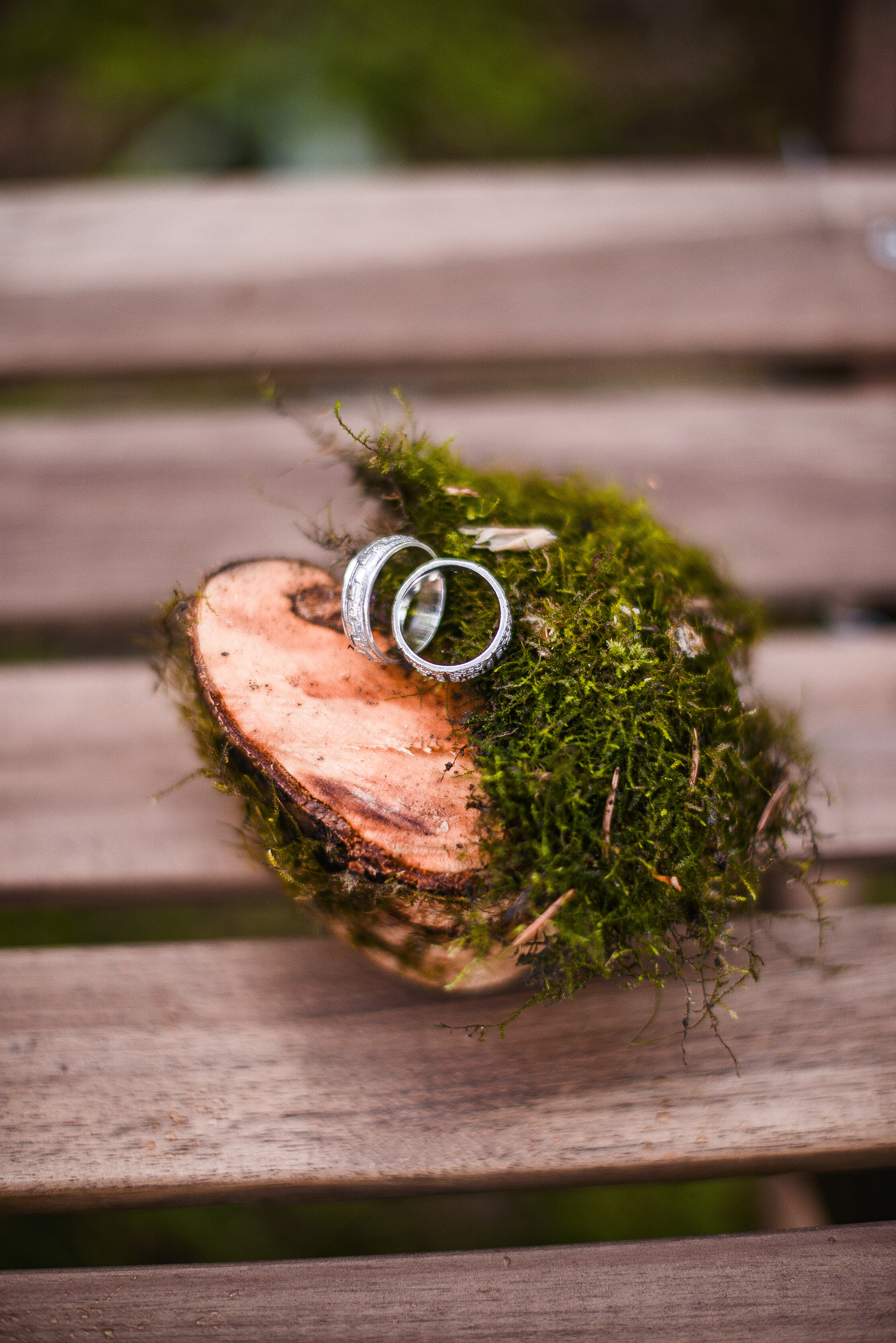 Сергей и Елена. Семейный фотограф в Санкт-Петербурге Льдокова Екатерина