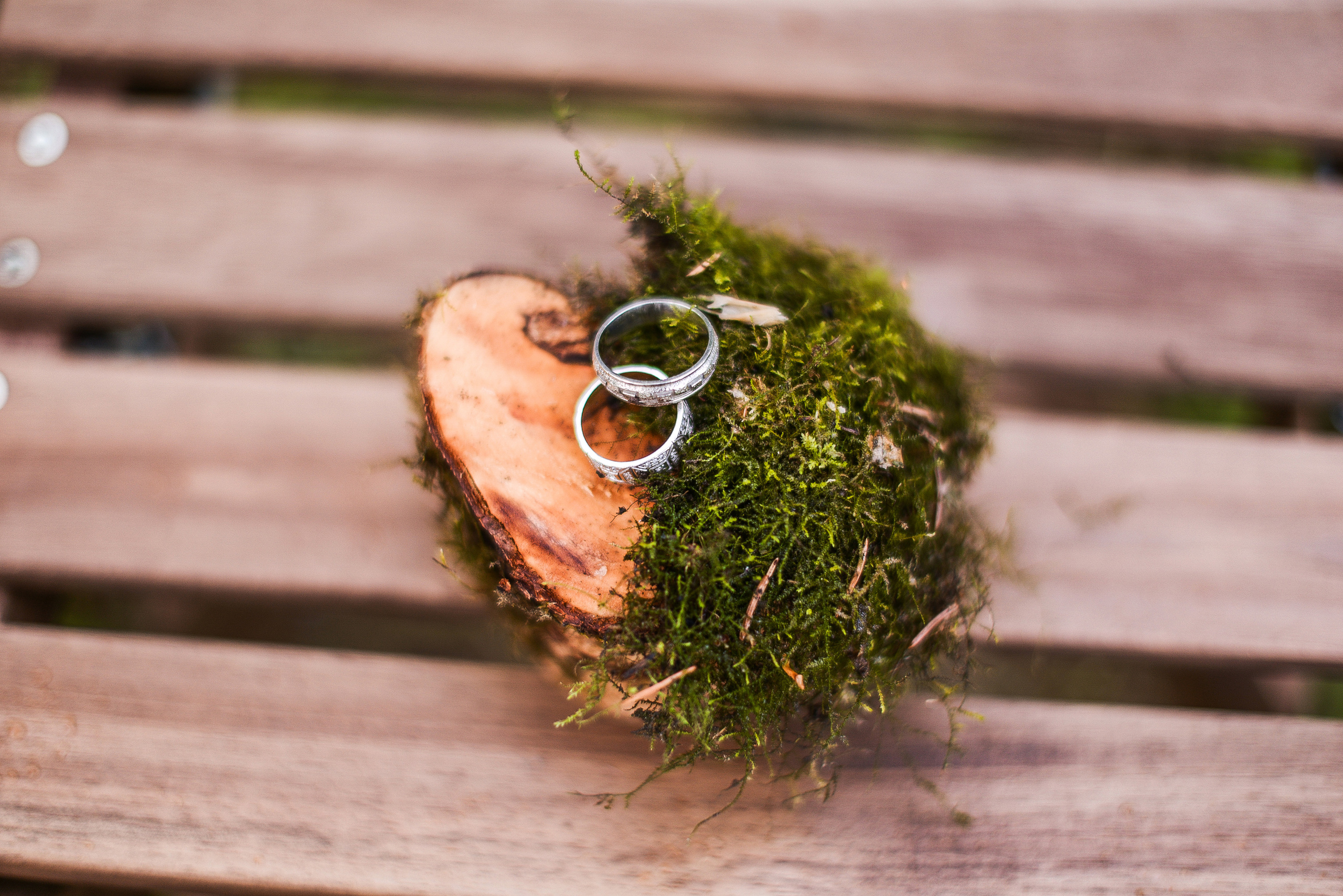 Сергей и Елена. Семейный фотограф в Санкт-Петербурге Льдокова Екатерина