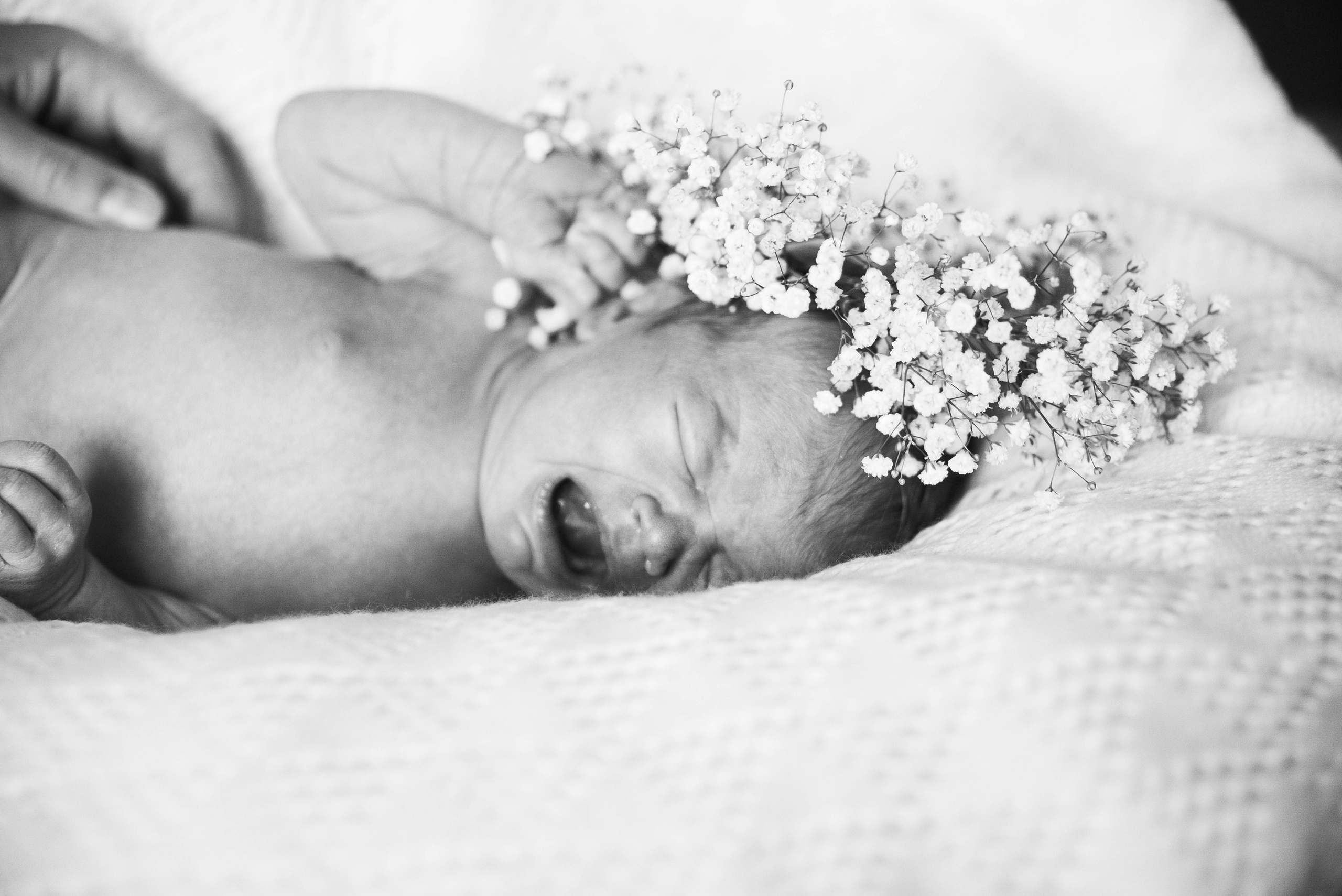 ДАШЕНЬКА. Семейный фотограф в Санкт-Петербурге Льдокова Екатерина