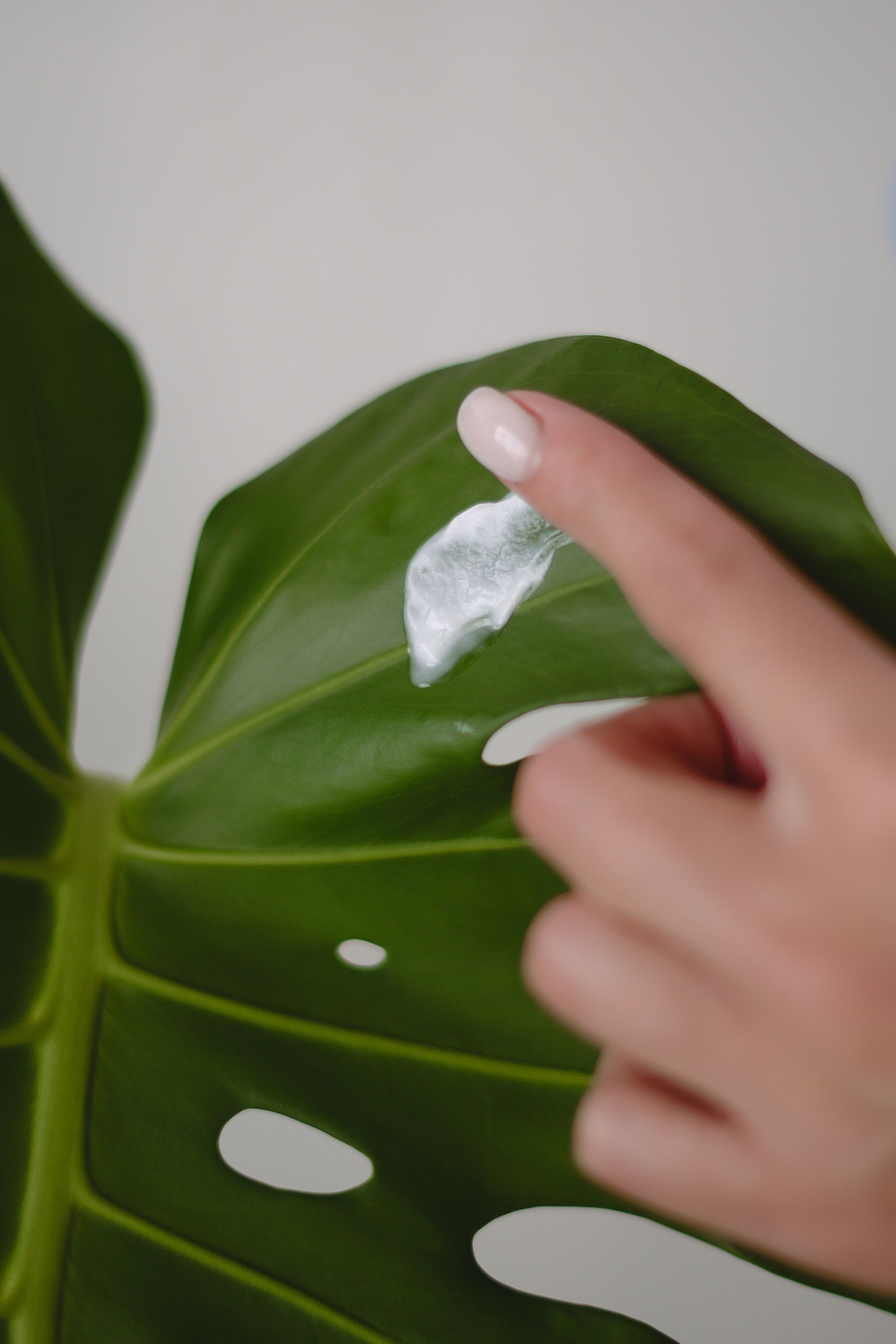 Косметолог Блог. Семейный фотограф в Санкт-Петербурге Льдокова Екатерина