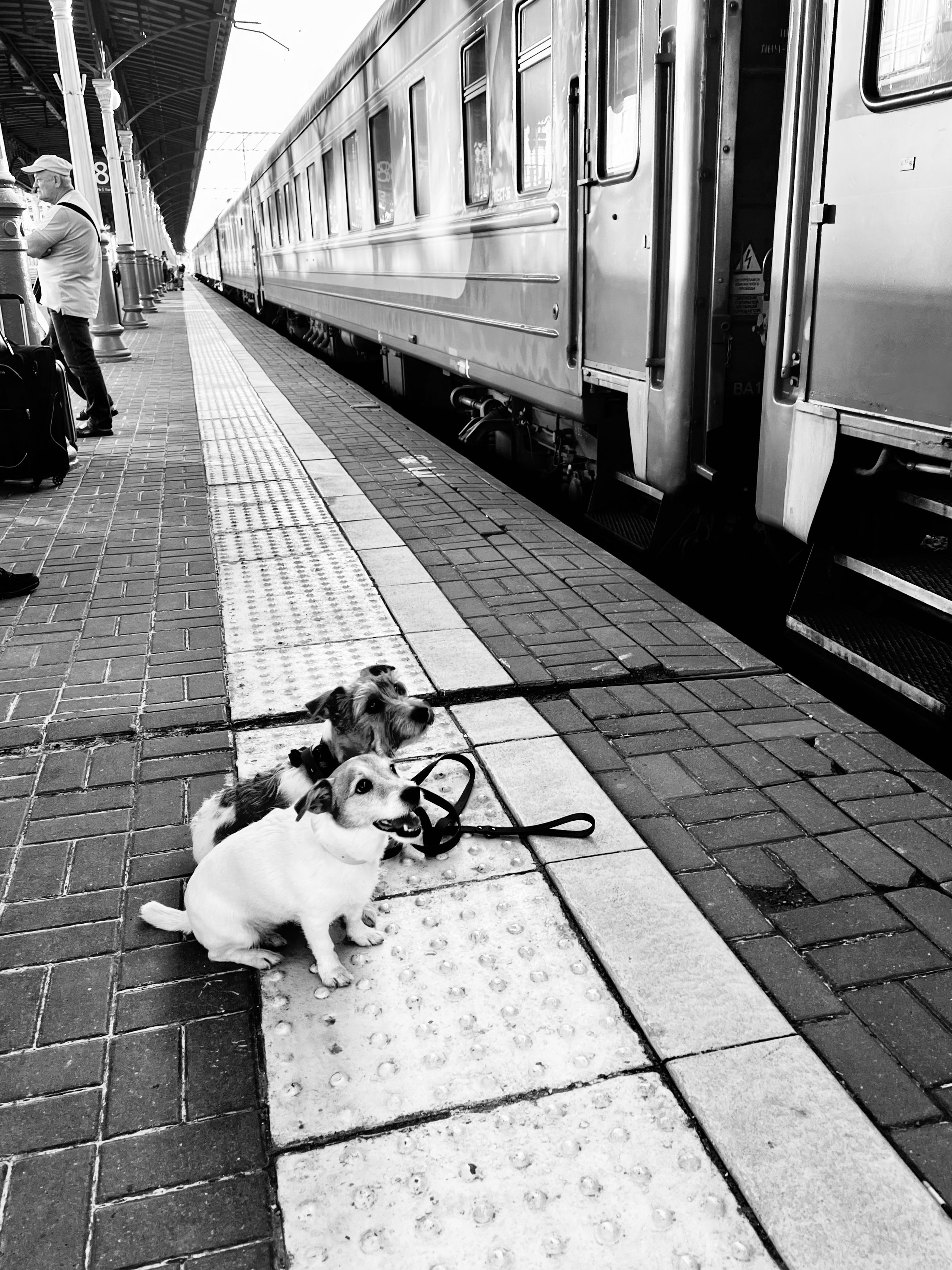 Yōko. Семейный фотограф в Москве Вики О»