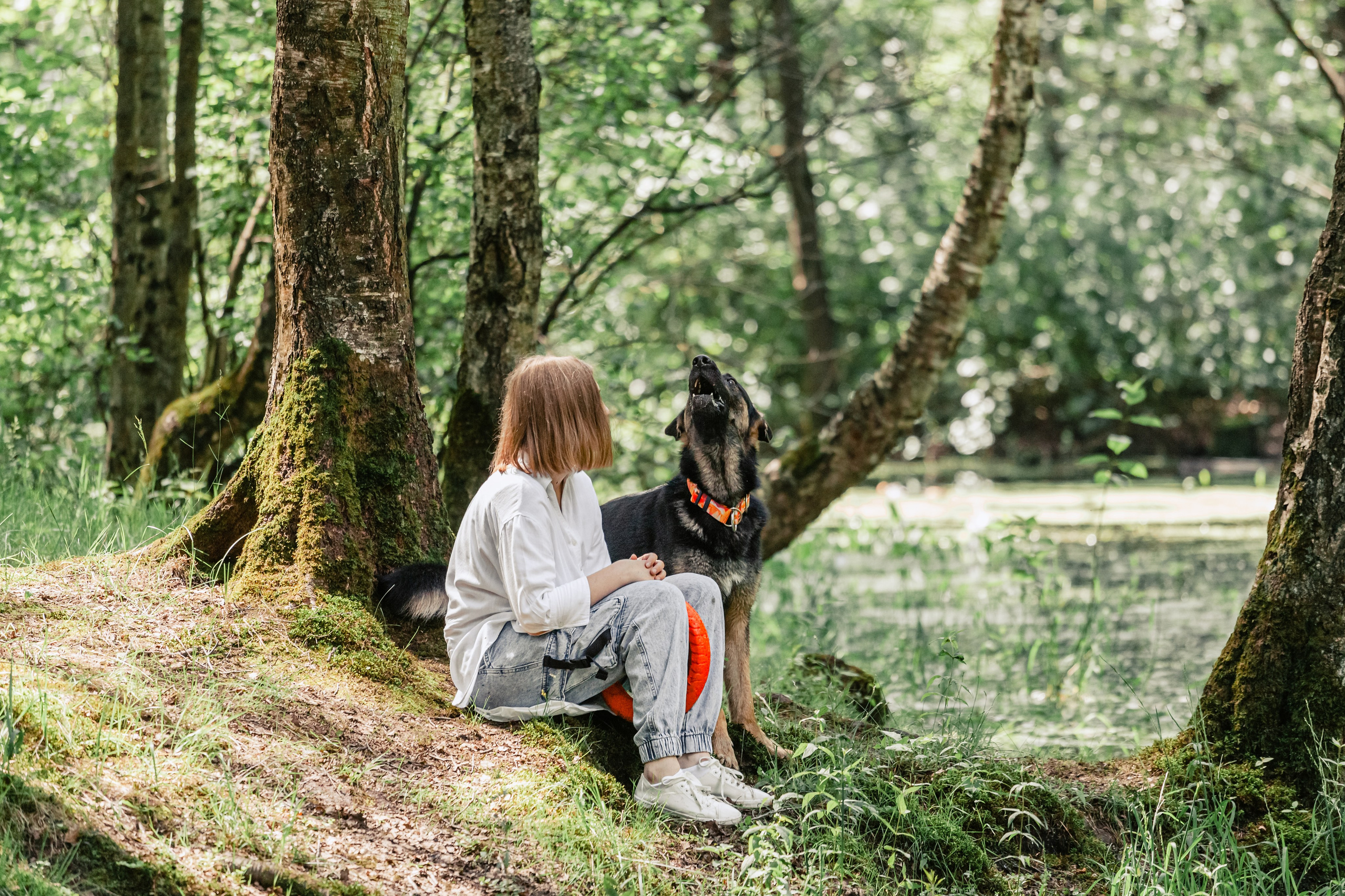 Лесная летняя фотопрогулка. Фотограф-анималист Татьяна Степанова