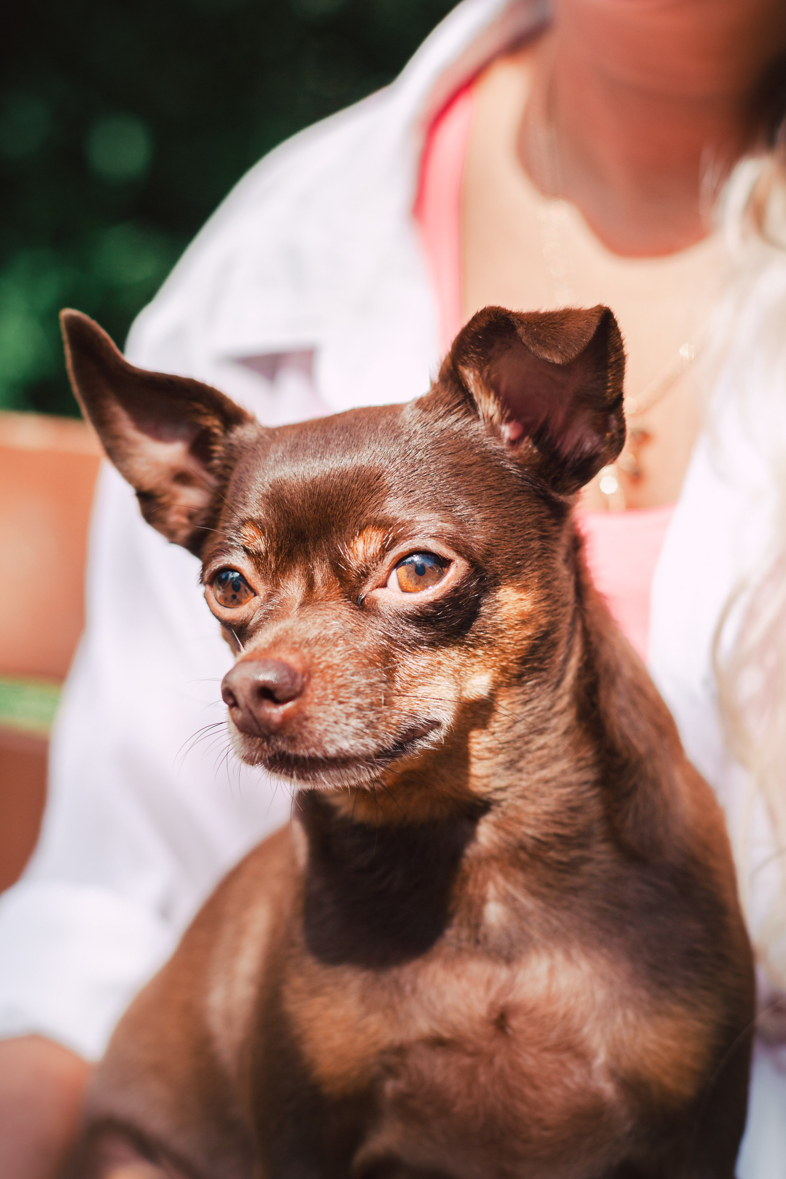Восточный мост. Фотограф-анималист Татьяна Степанова
