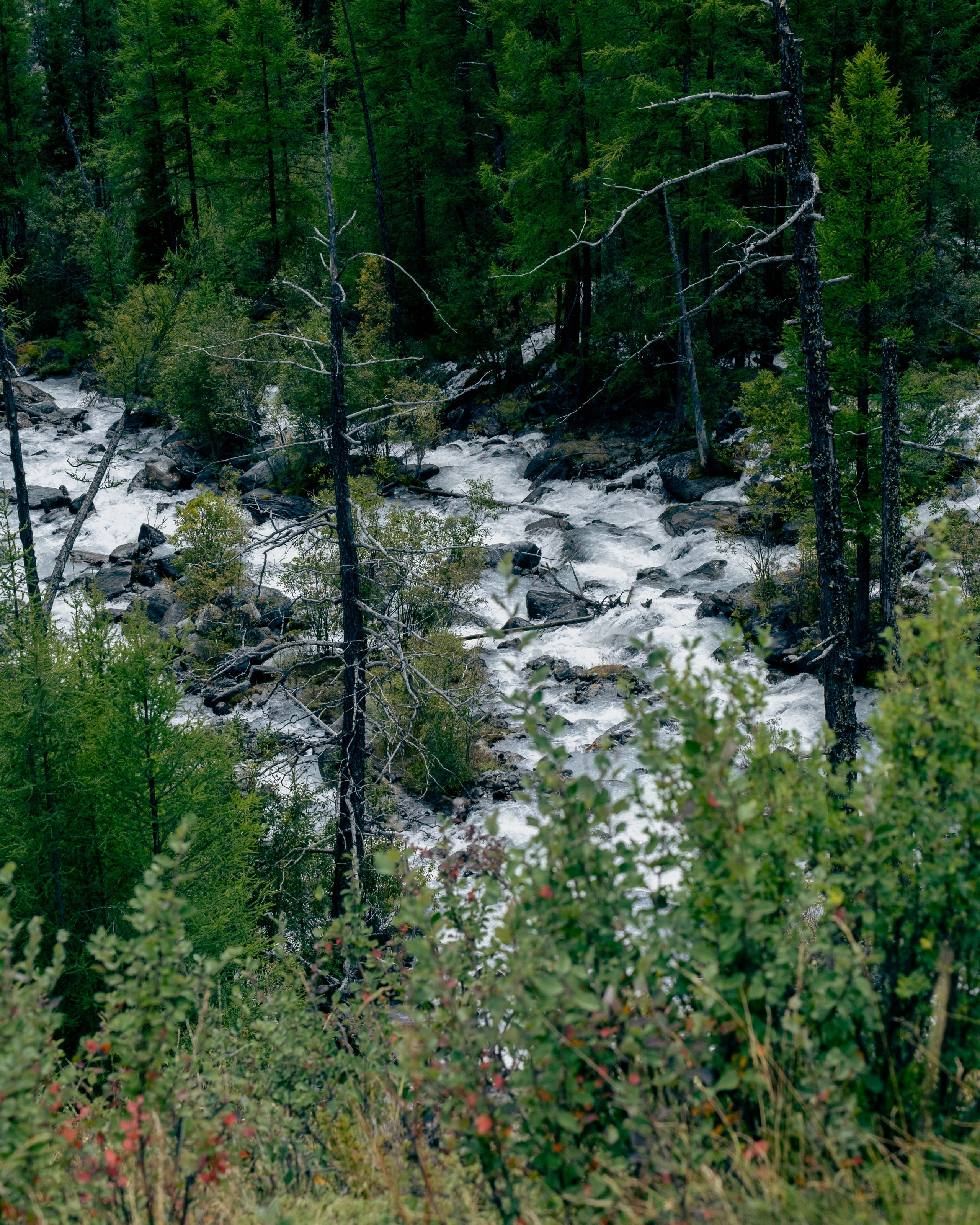 RUSSIA. Фотограф |Герасимова София