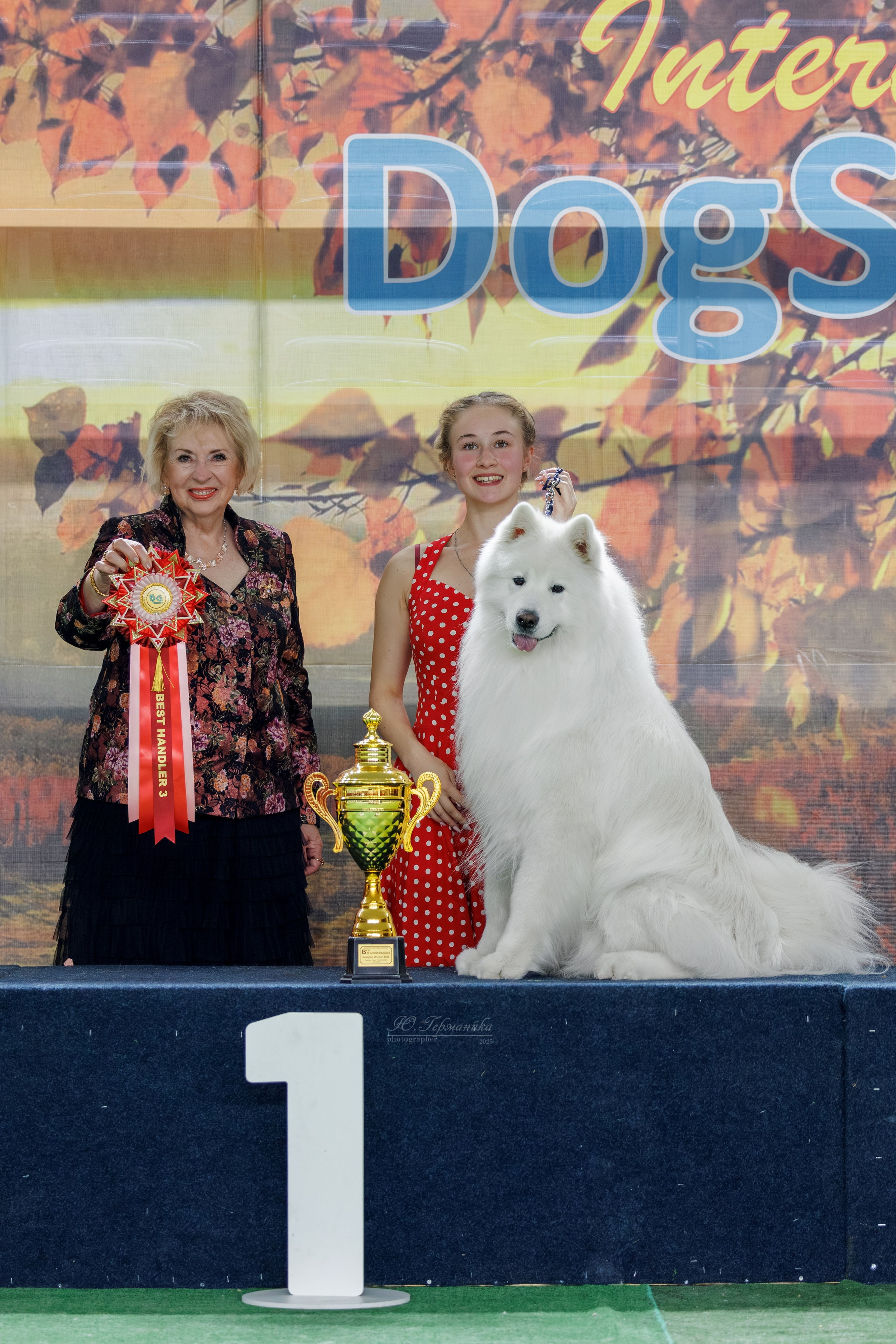 Телави 11-12.10.2025. Фотограф-анималист Юлия Германика