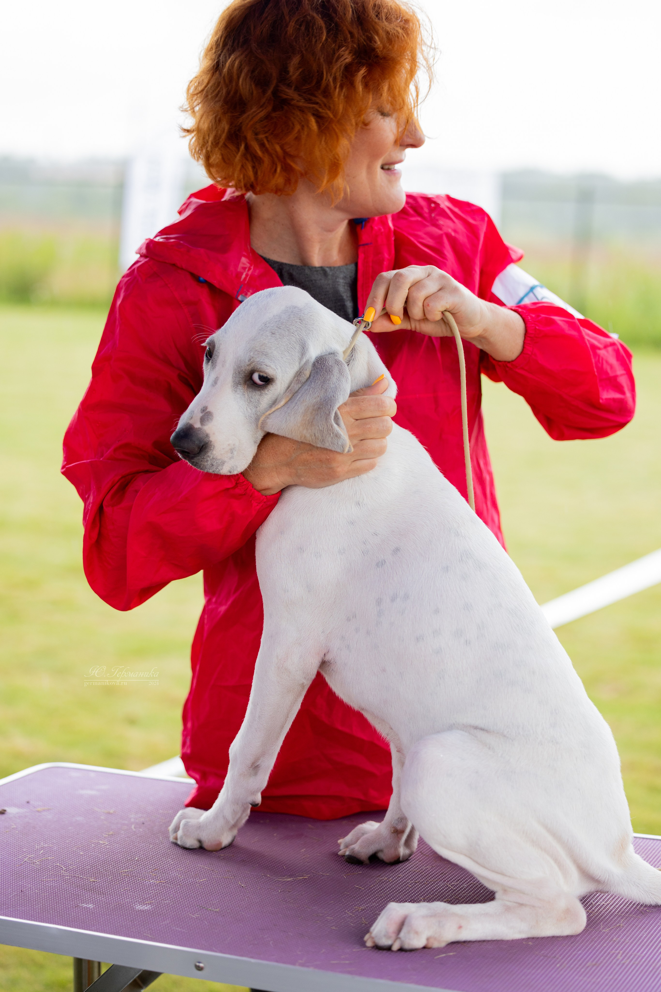 Ярославль 21.07.24 и Балашиха 13.07.24. Фотограф-анималист Юлия Германика