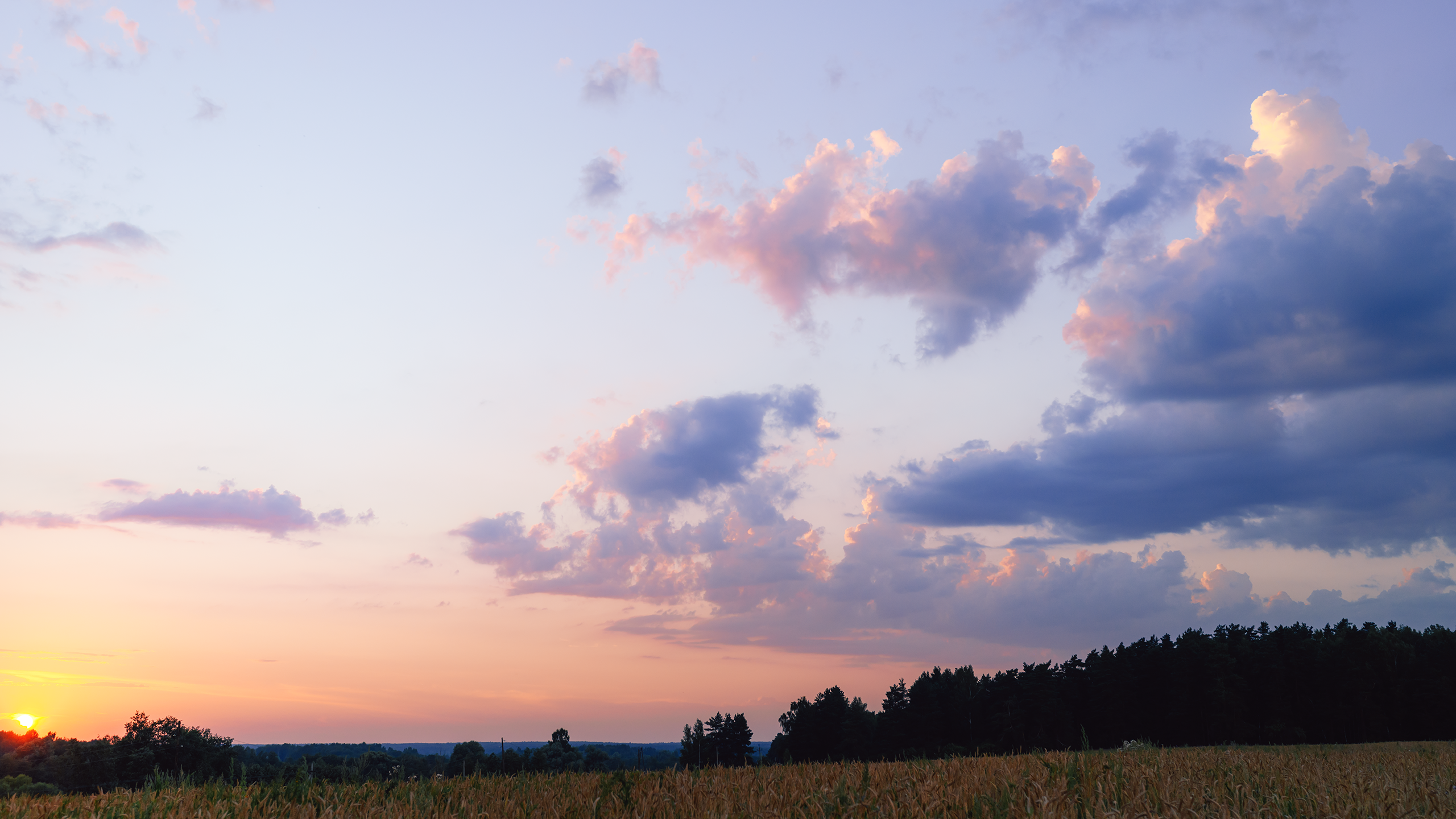 Небо видело всё. Komonev