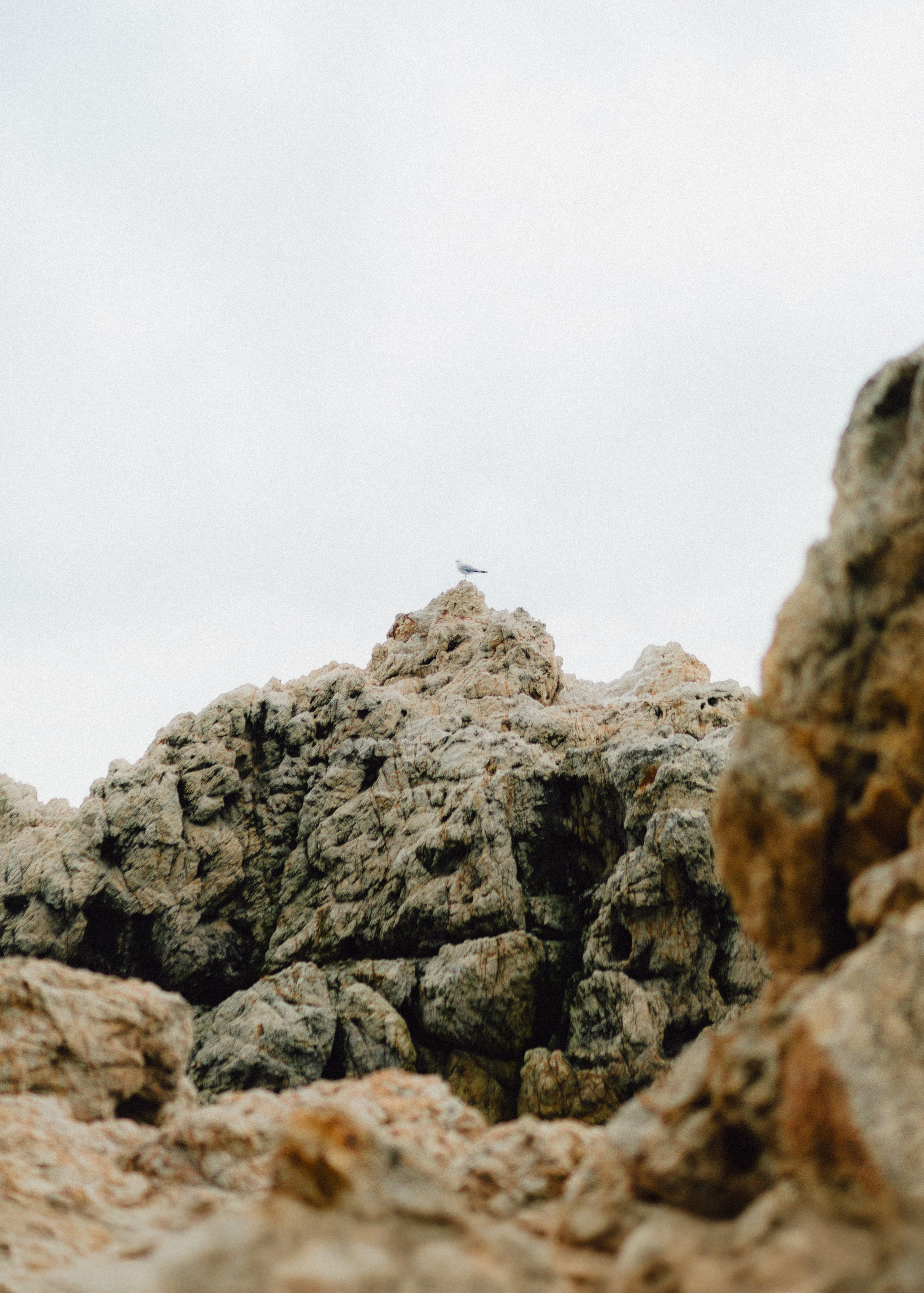 Nataliya & Ivan. Barbara Isaeva