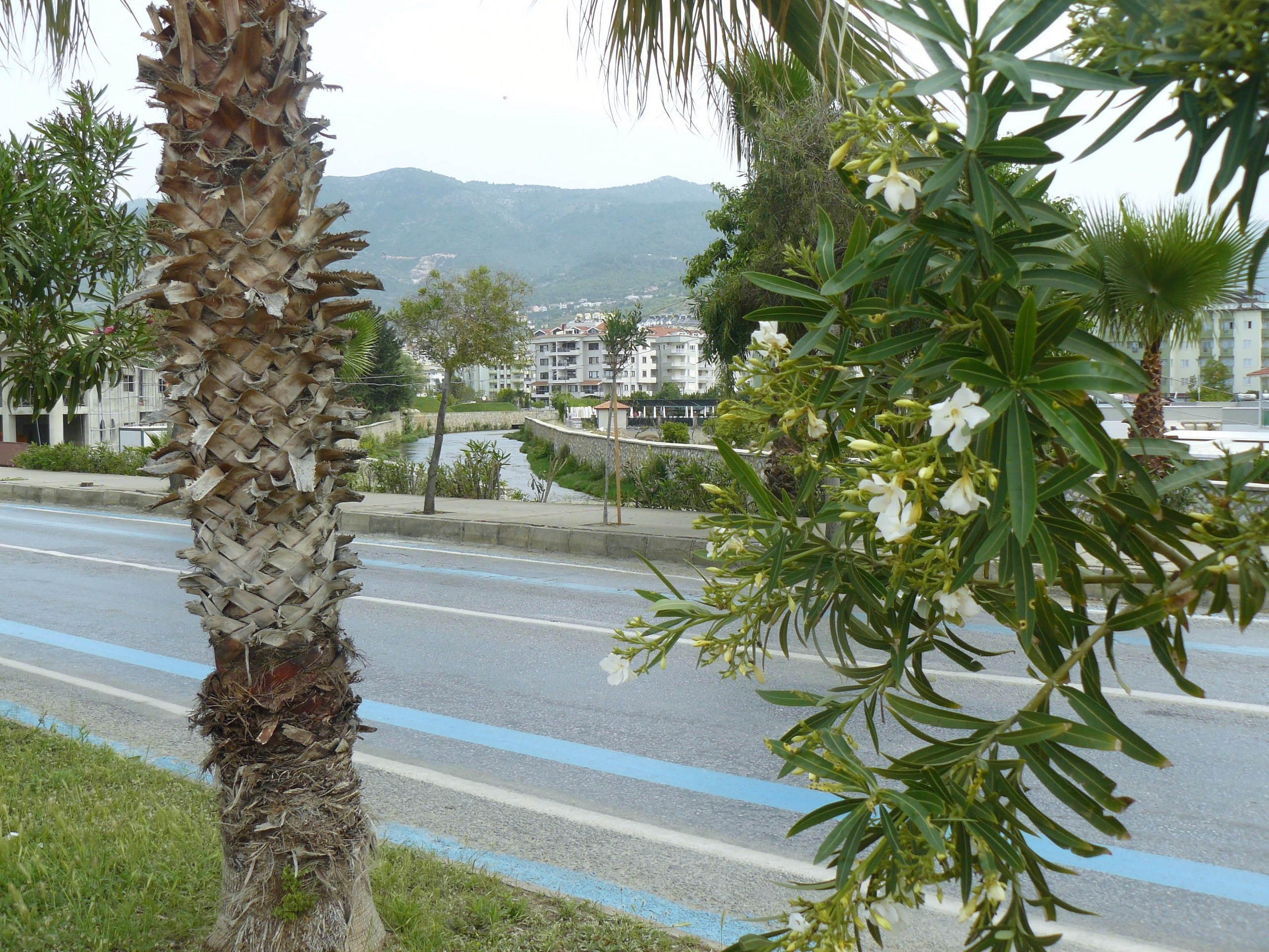 Алания 2014. Фотопрогулки по Миру