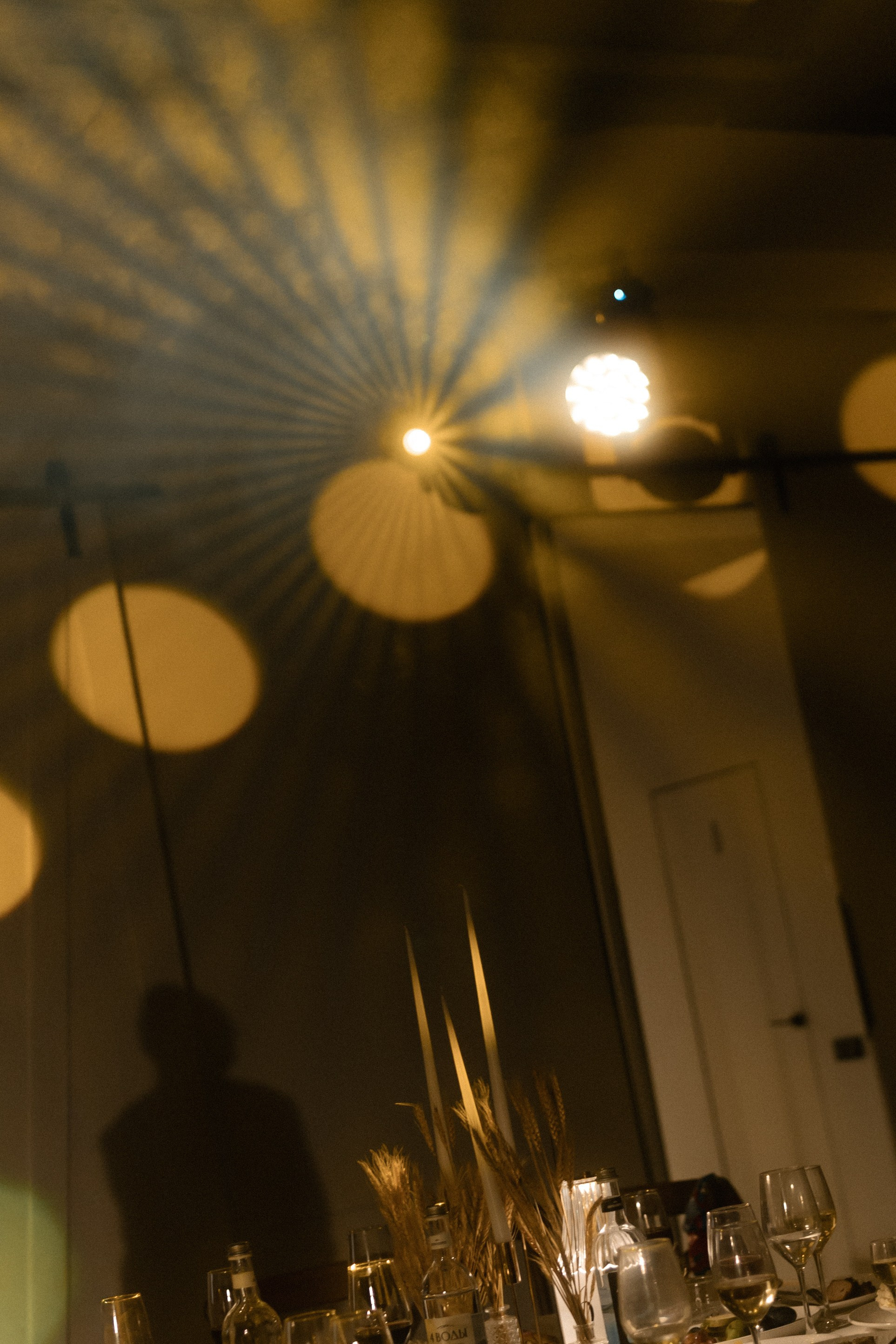 Парочка с собакой. Михаил и Юлия Лыженко — свадебный фотограф Волгоград