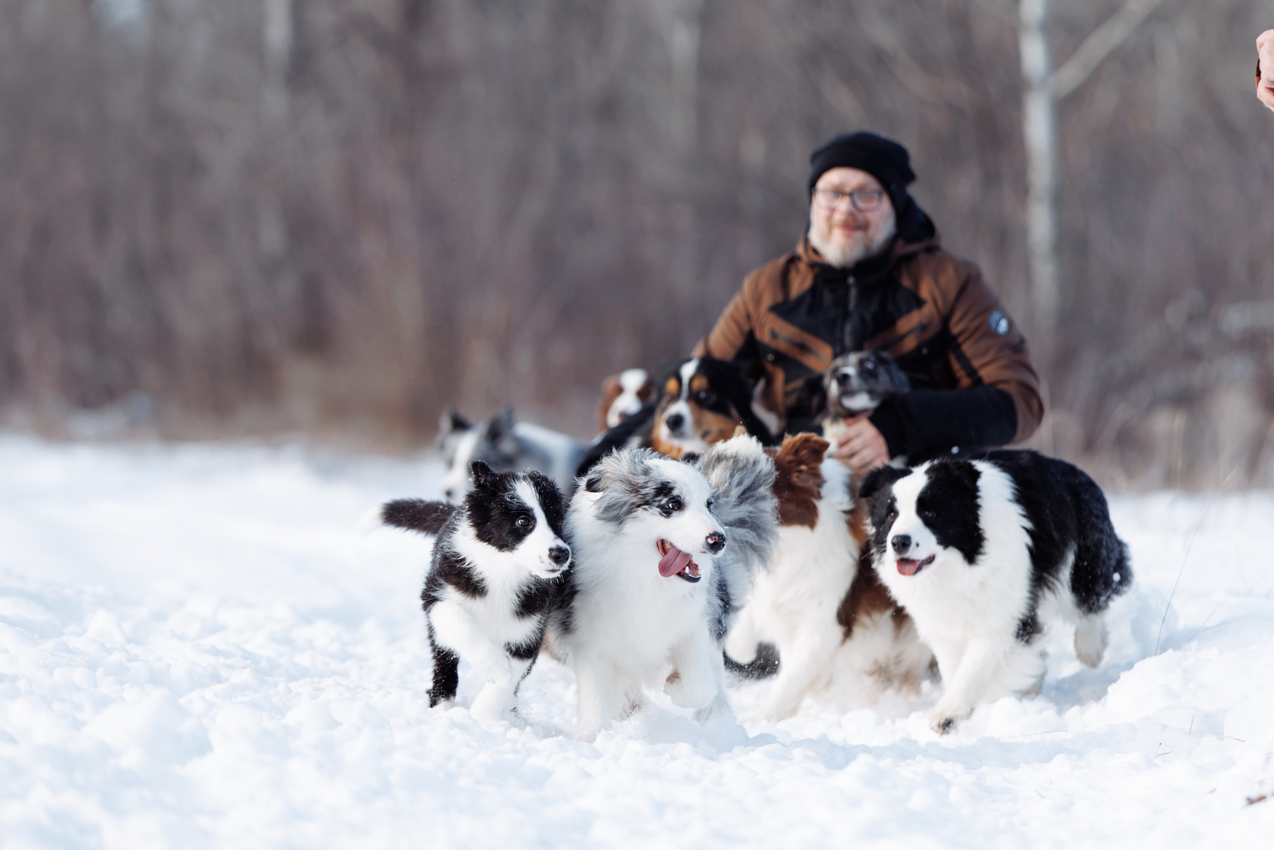 Яркий январь. О нас