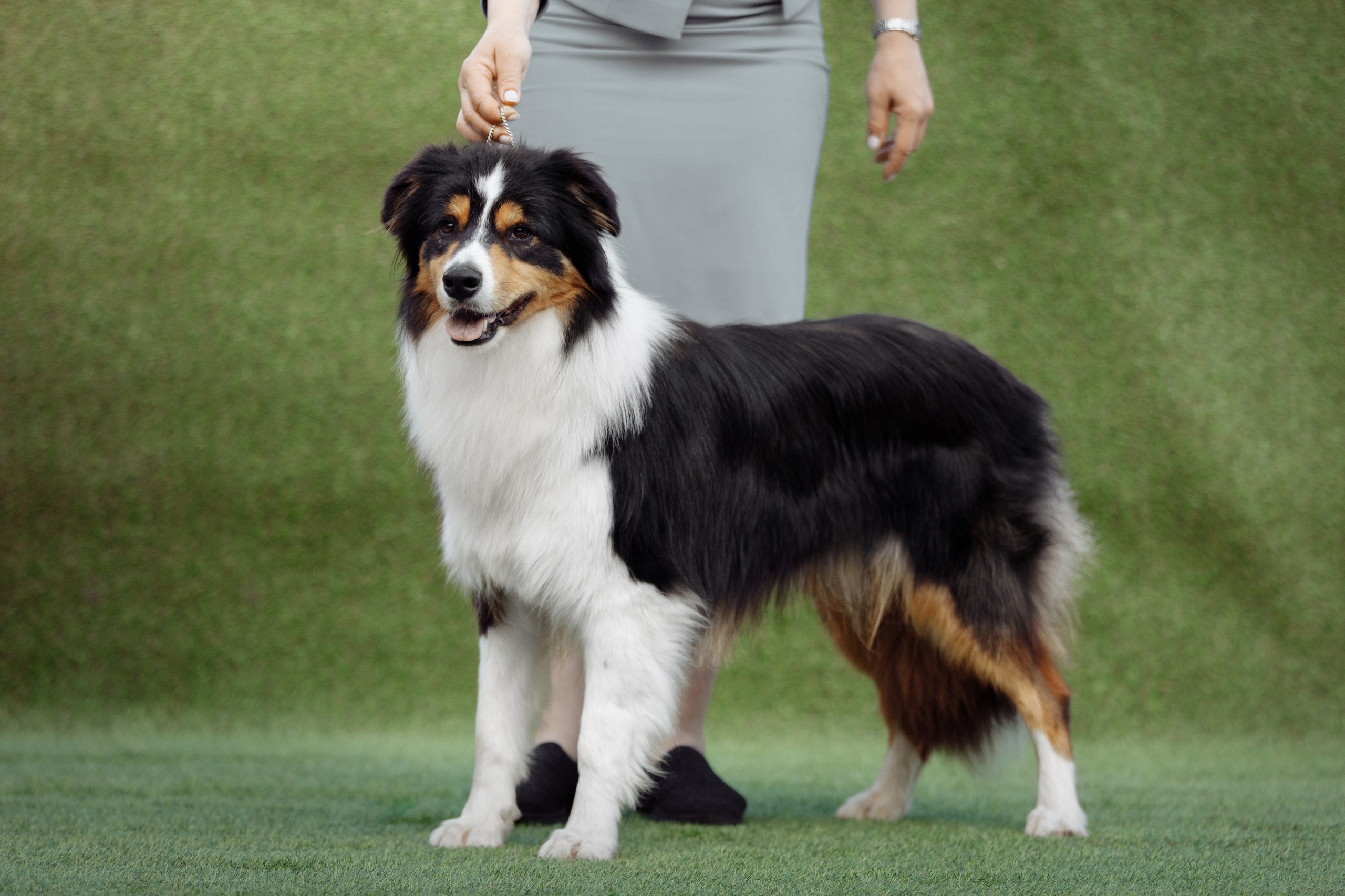 Свое место. О нас