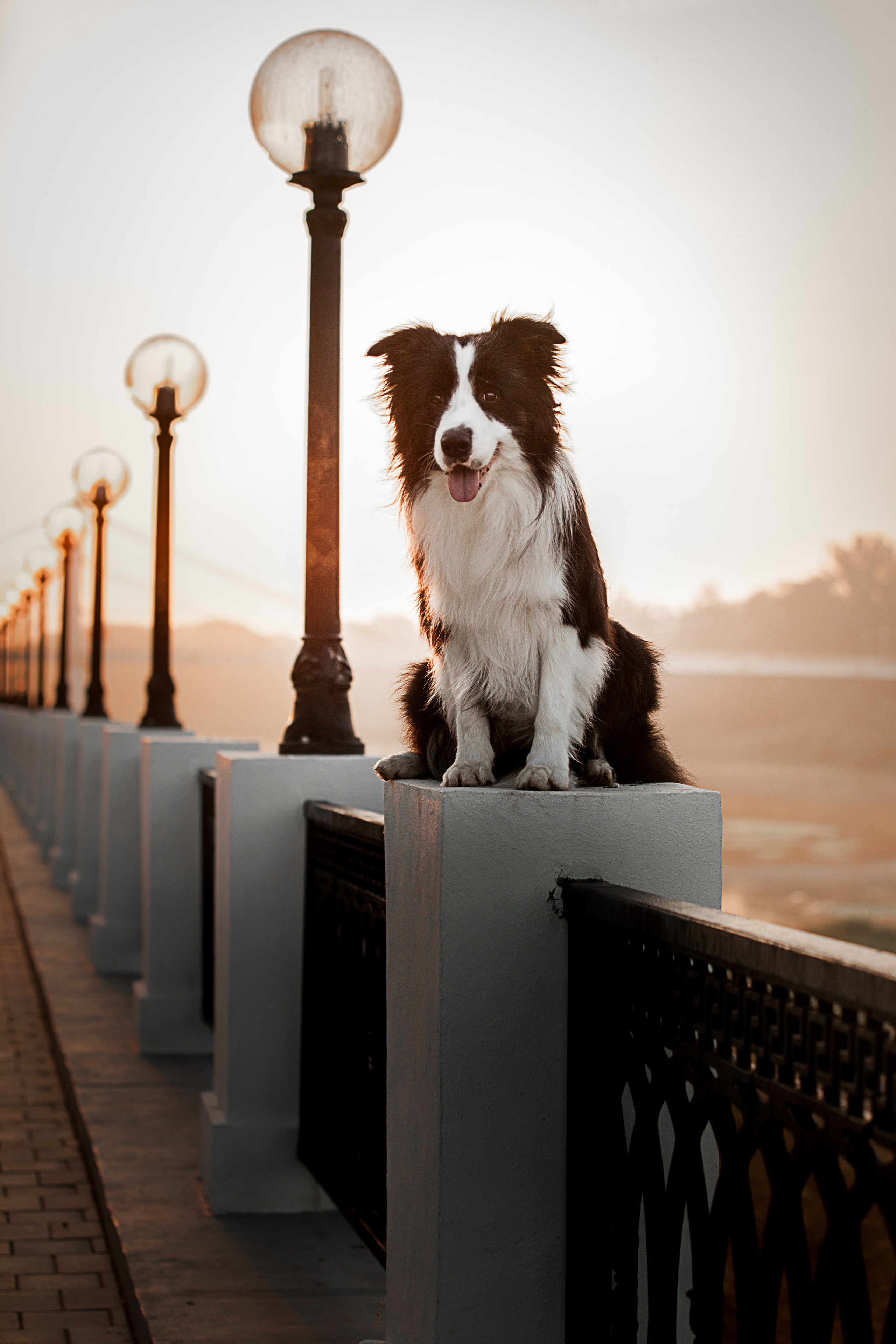 Сочный рассвет, на который решились. О нас