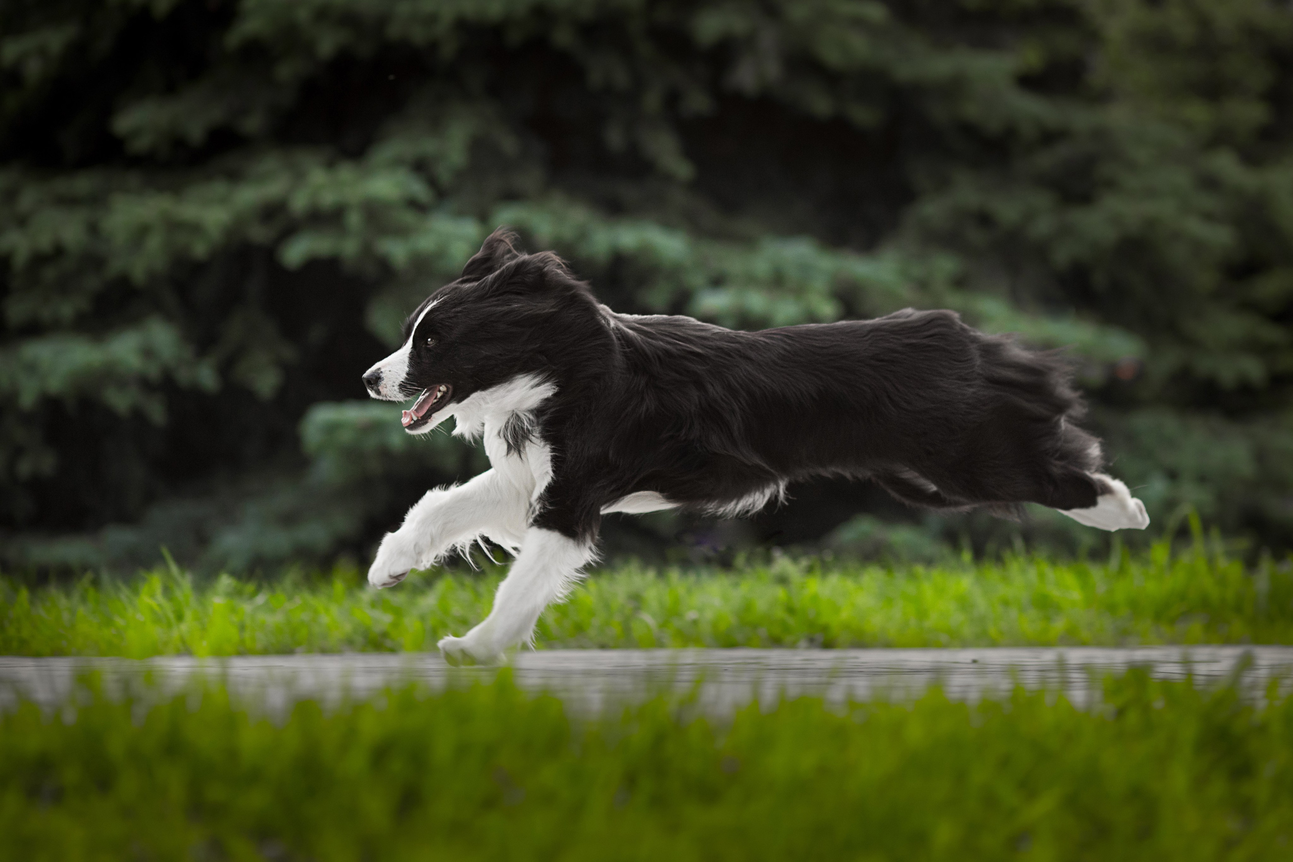 Роскошь в ростошах. О нас