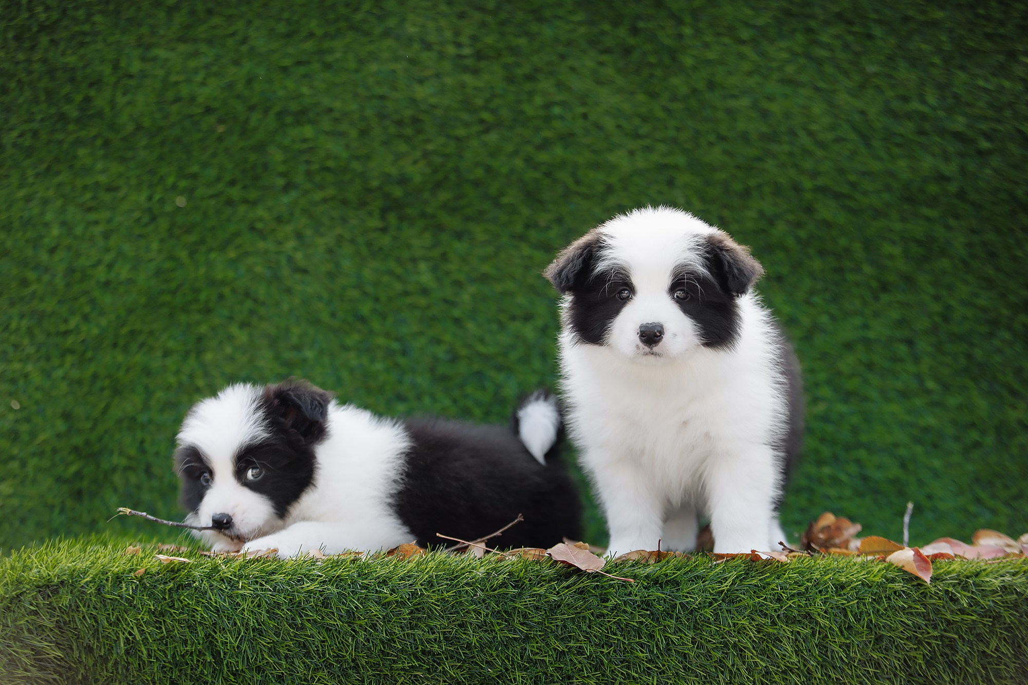 Новый лист. О нас