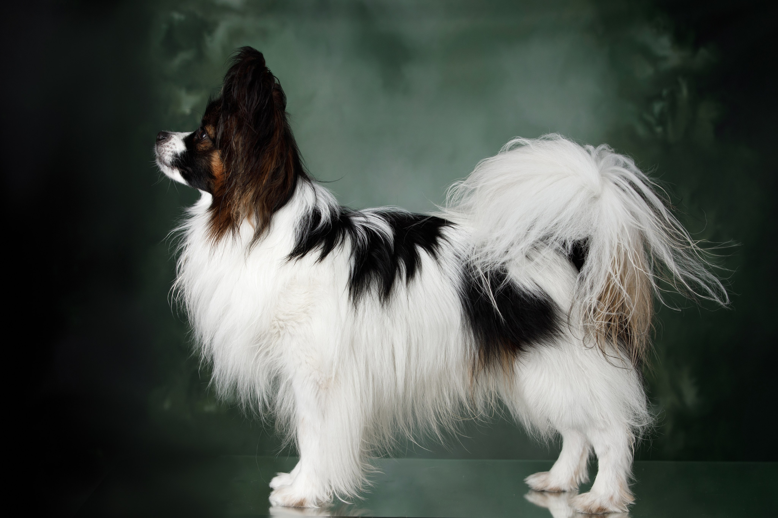 Март. Весна. 22. О нас