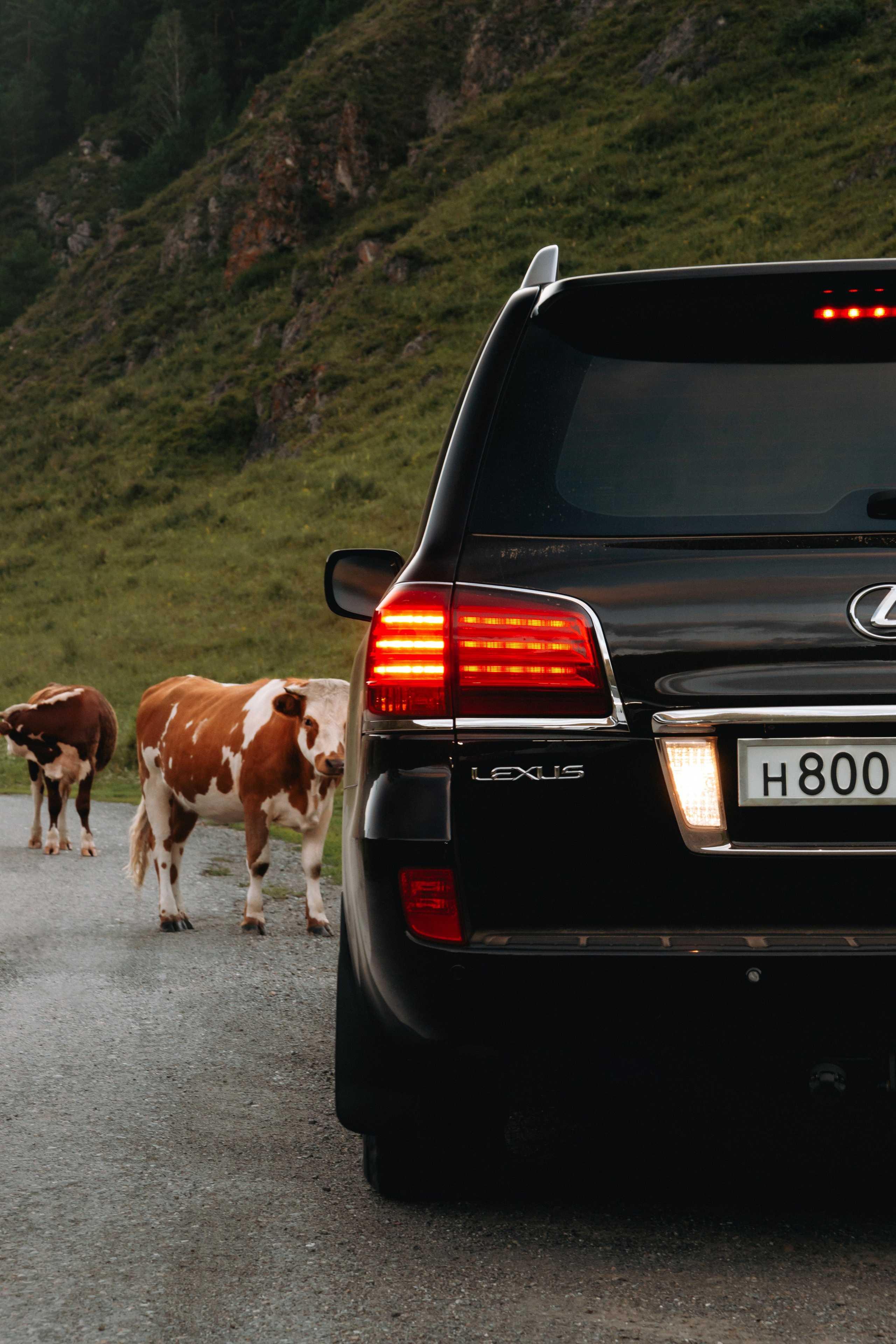 Lexus LX570. Автомобильный фотограф и видеограф в Новосибирске|Александра Косухина