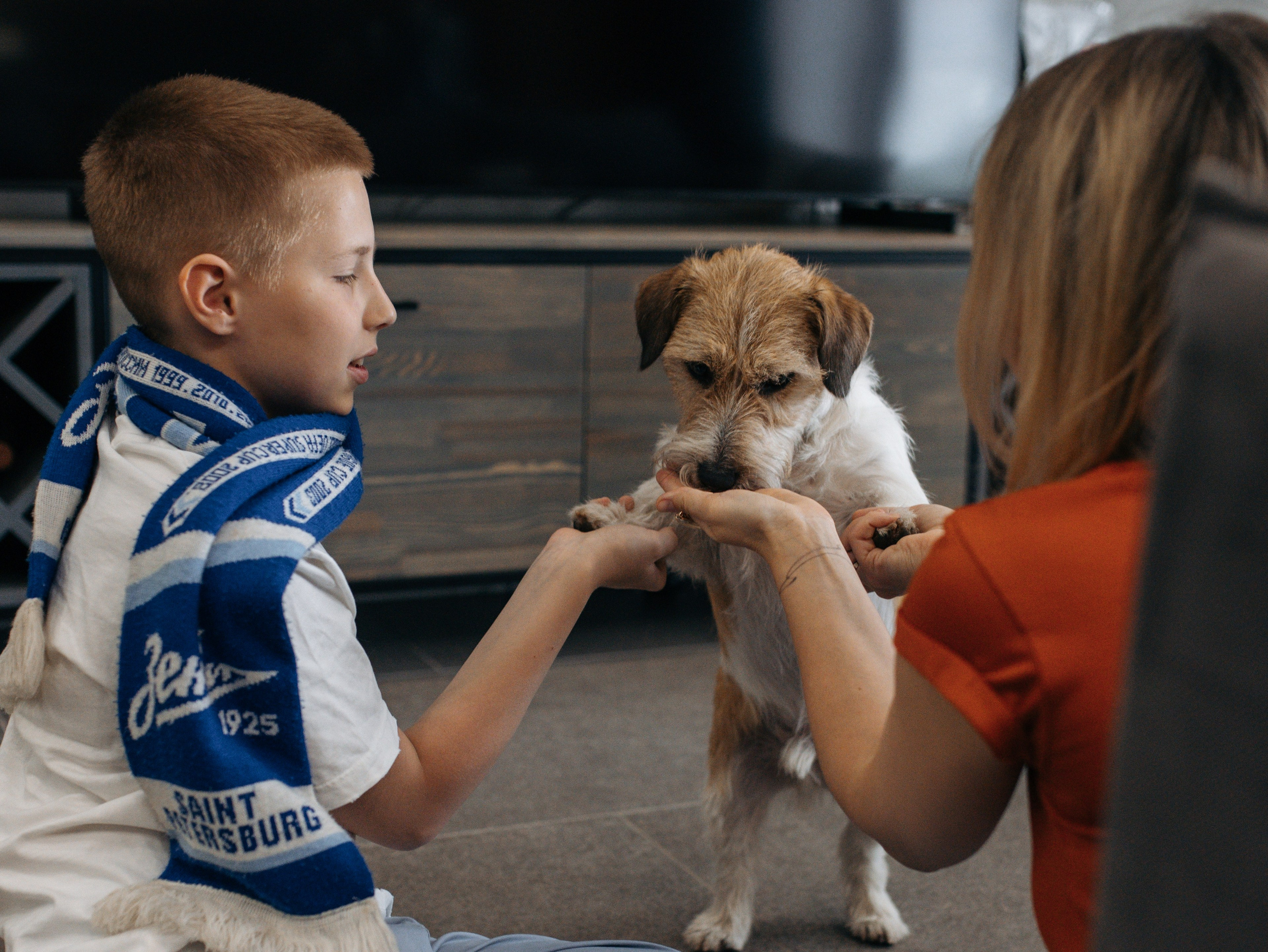 День рождение Зенита. Фотограф-анималист в Москве Кириллова Татьяна