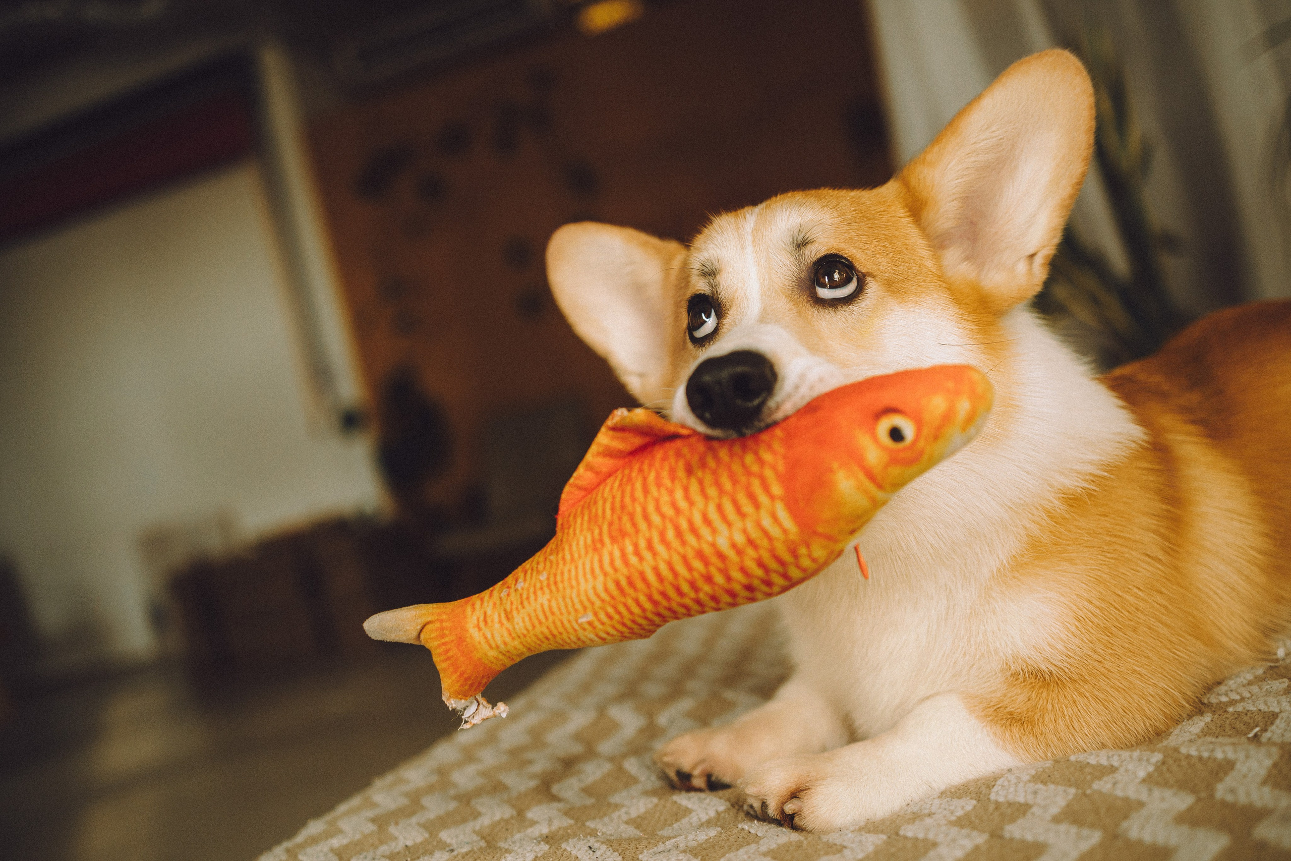 Наталья, Евгений и Мерлин