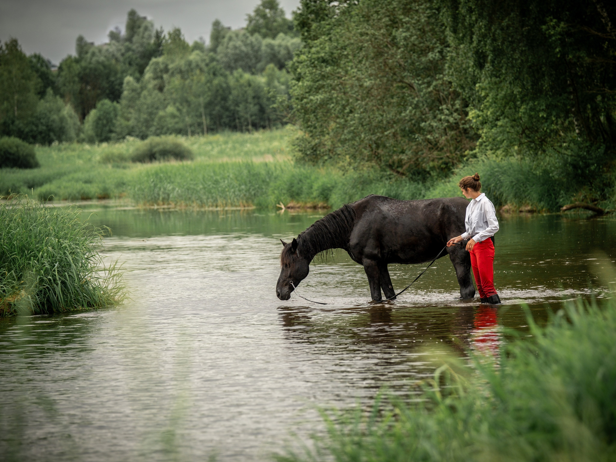 Люди и лошади!