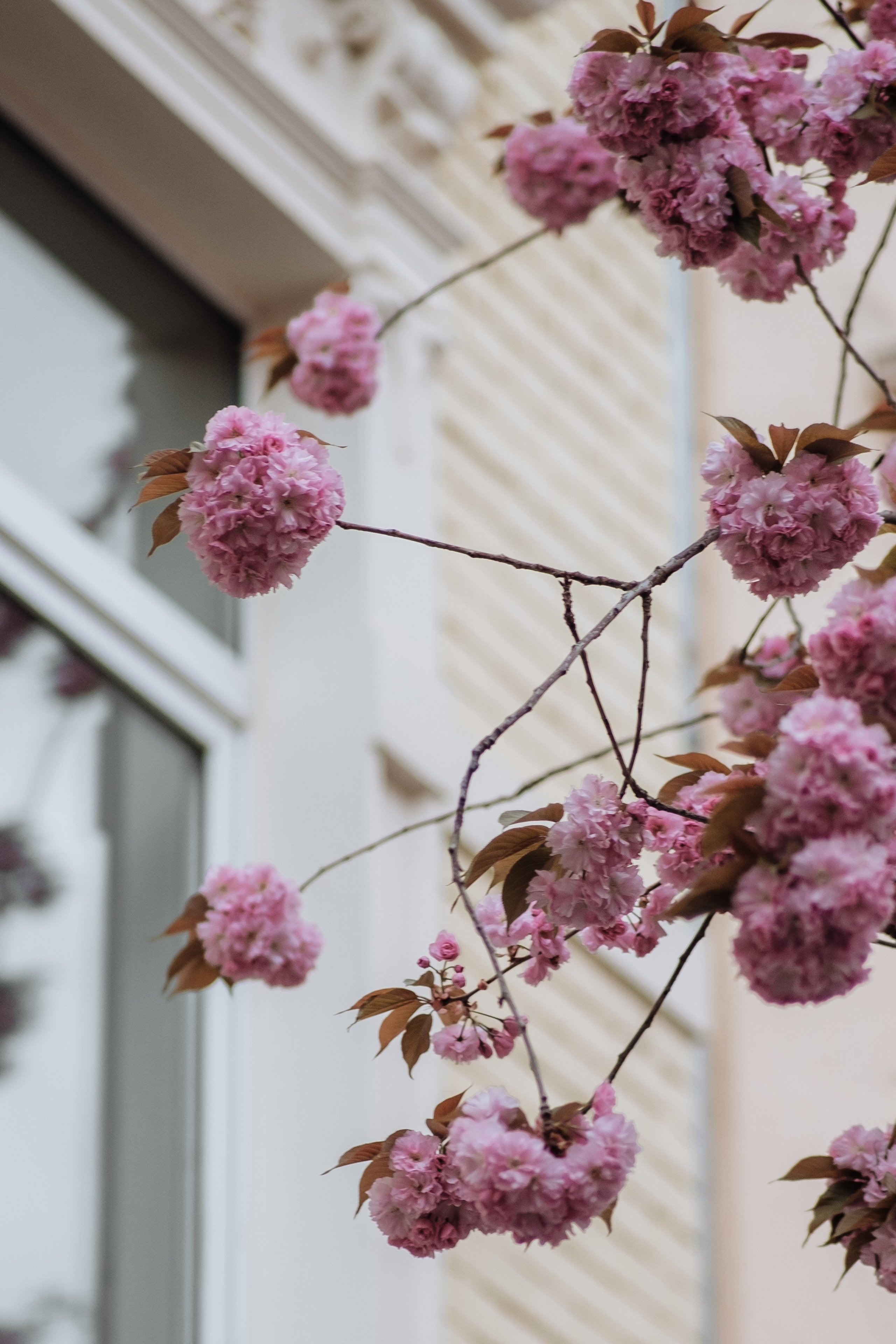 Nastya. Photographer Cologne Bonn Europe Anna Ketova