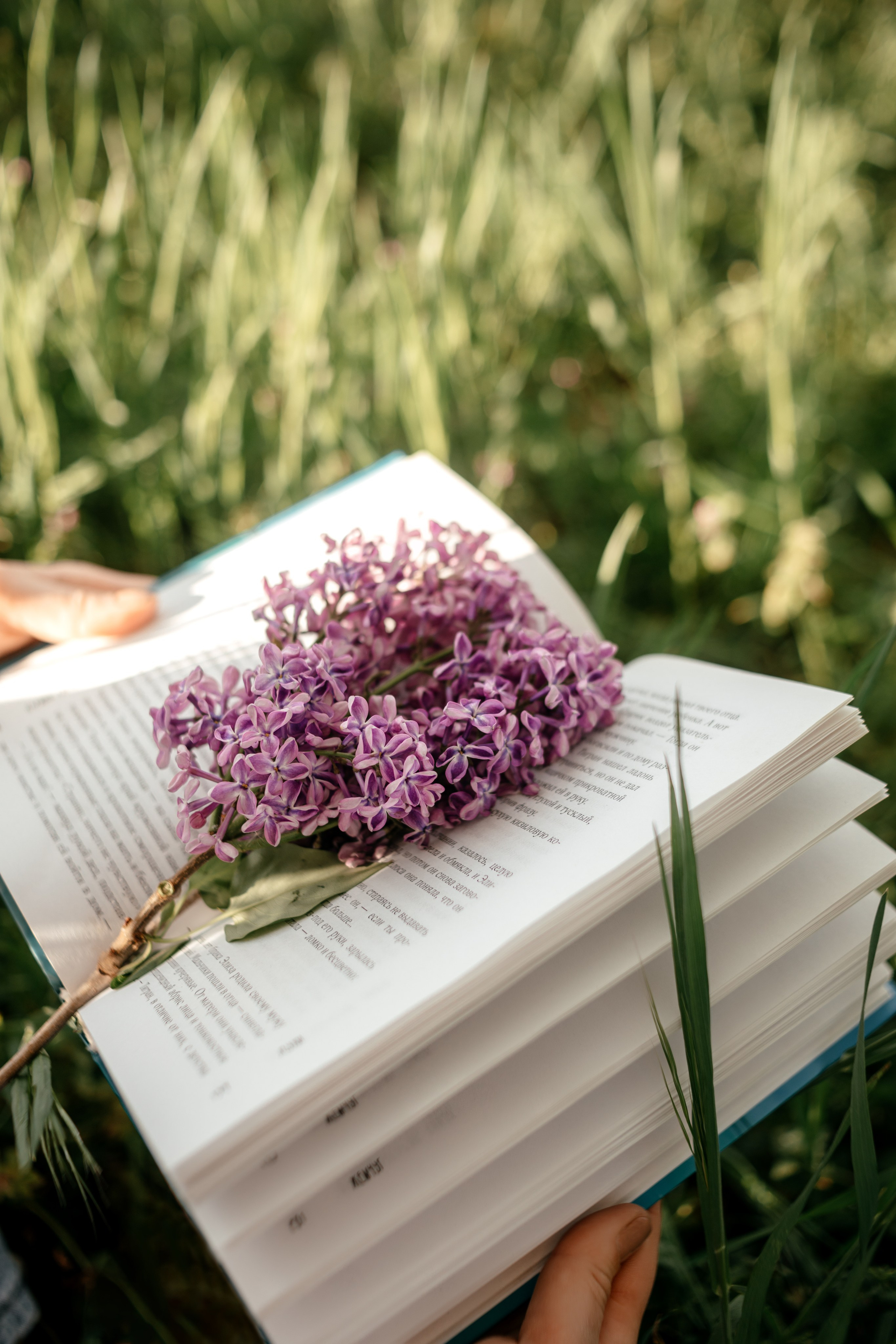Женская фотосессия на природе с сиренью. Свадебный и семейный фотограф в Краснодарском крае Мария Данилкина