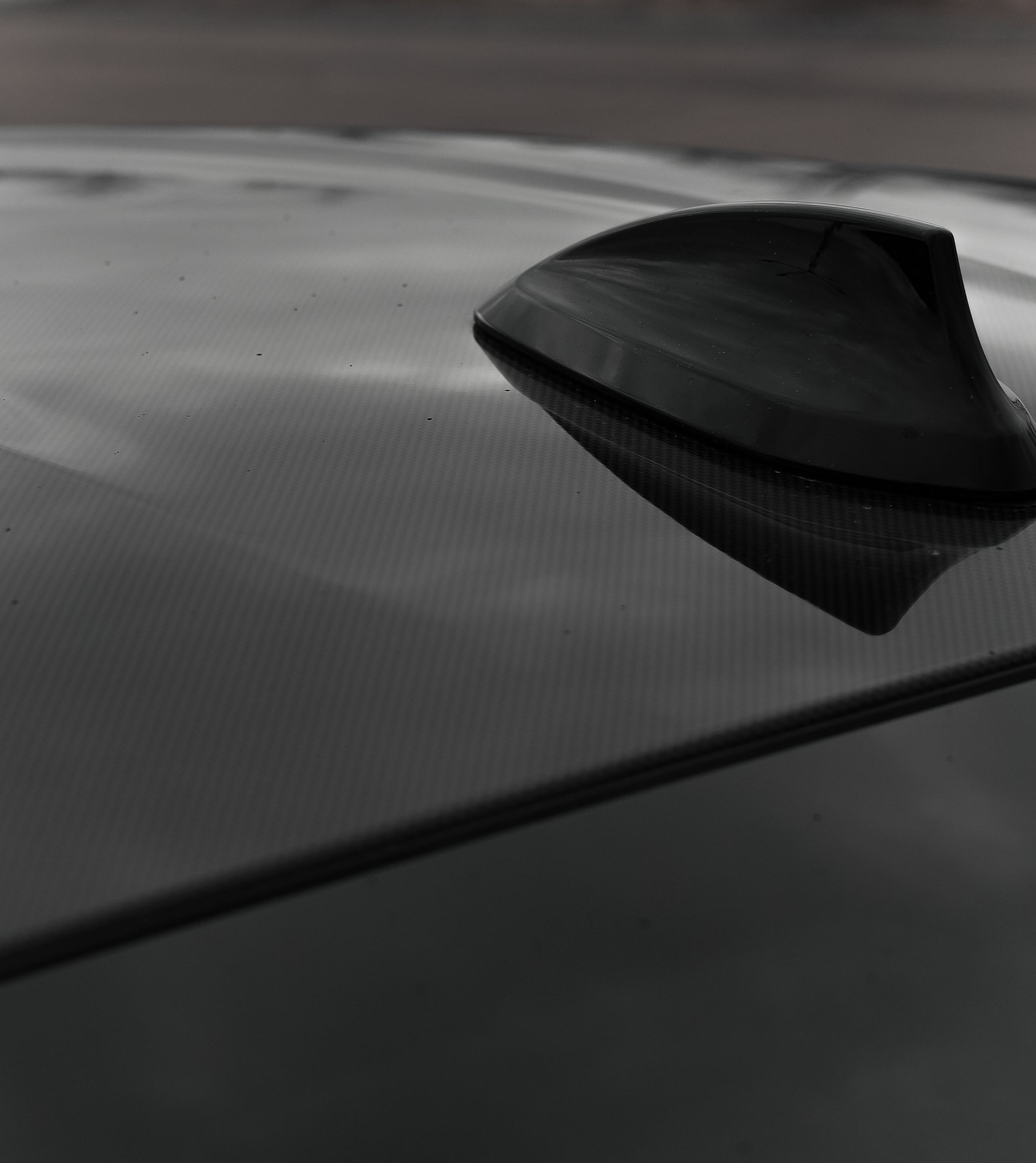 𝐵𝑀𝒲 𝑀5. Wedding Photographer from St.Petersburg