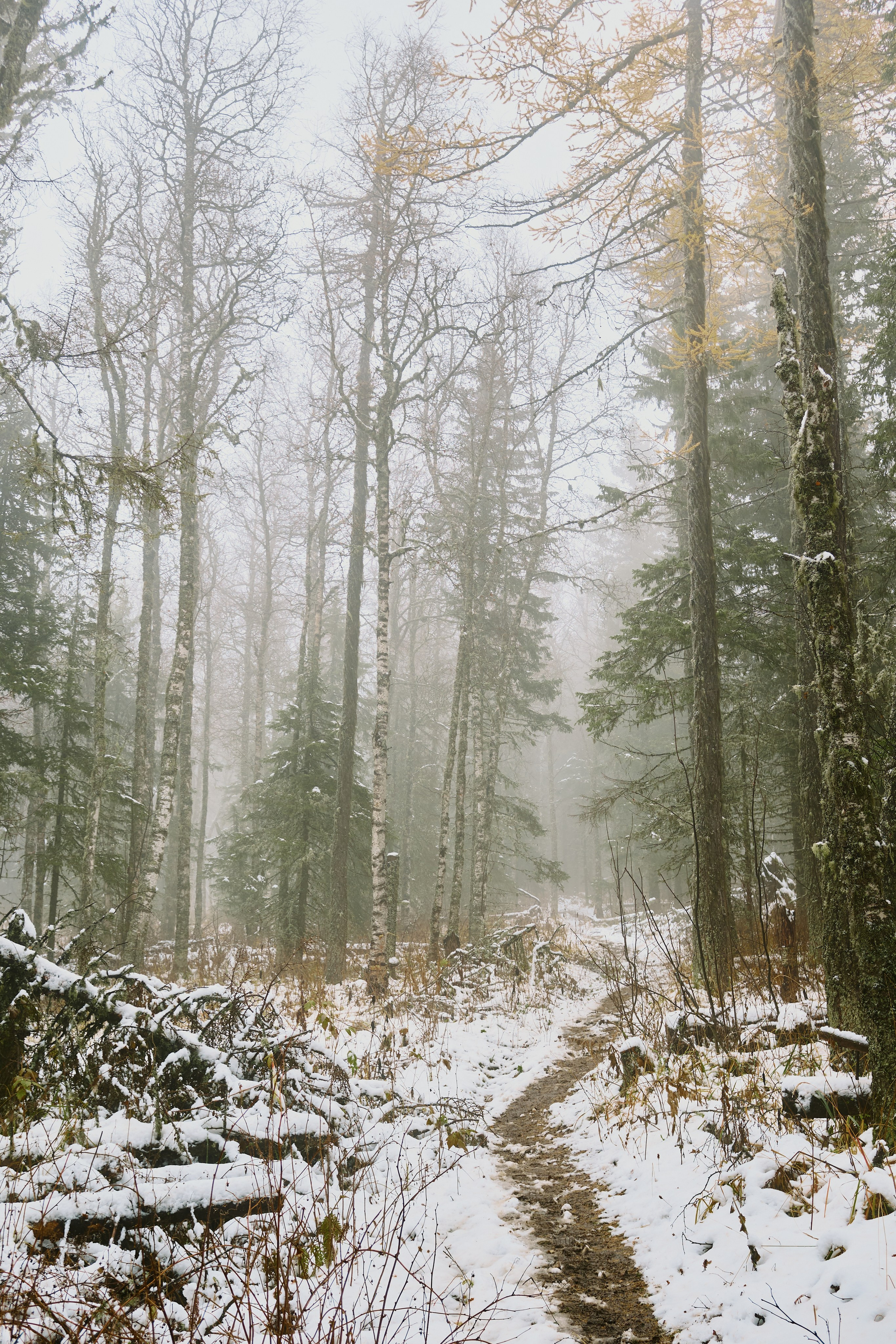 Travel. Фотограф в Челябинске — Дмитрий Носов