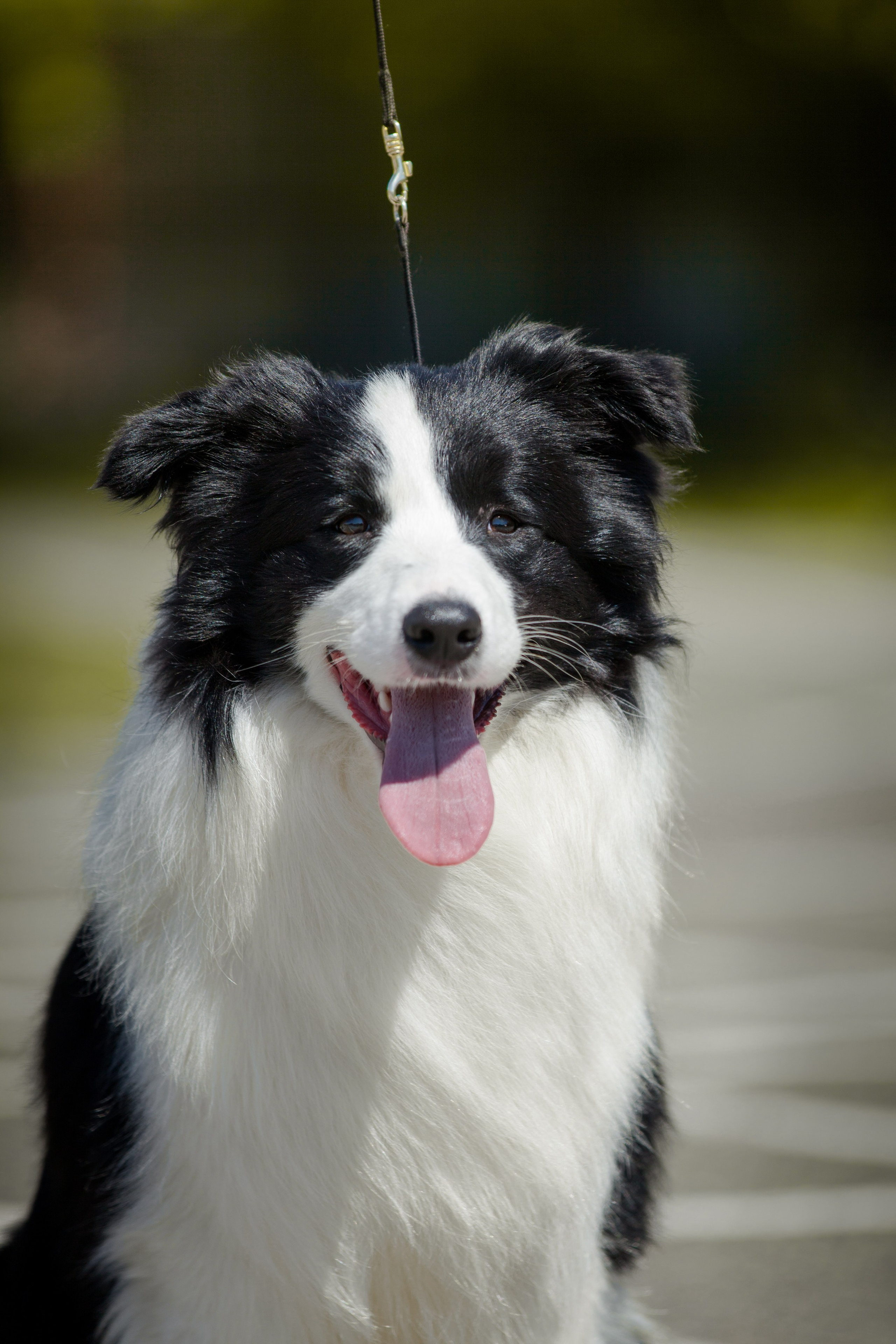 Зеленое в Оренбурге 19. О нас