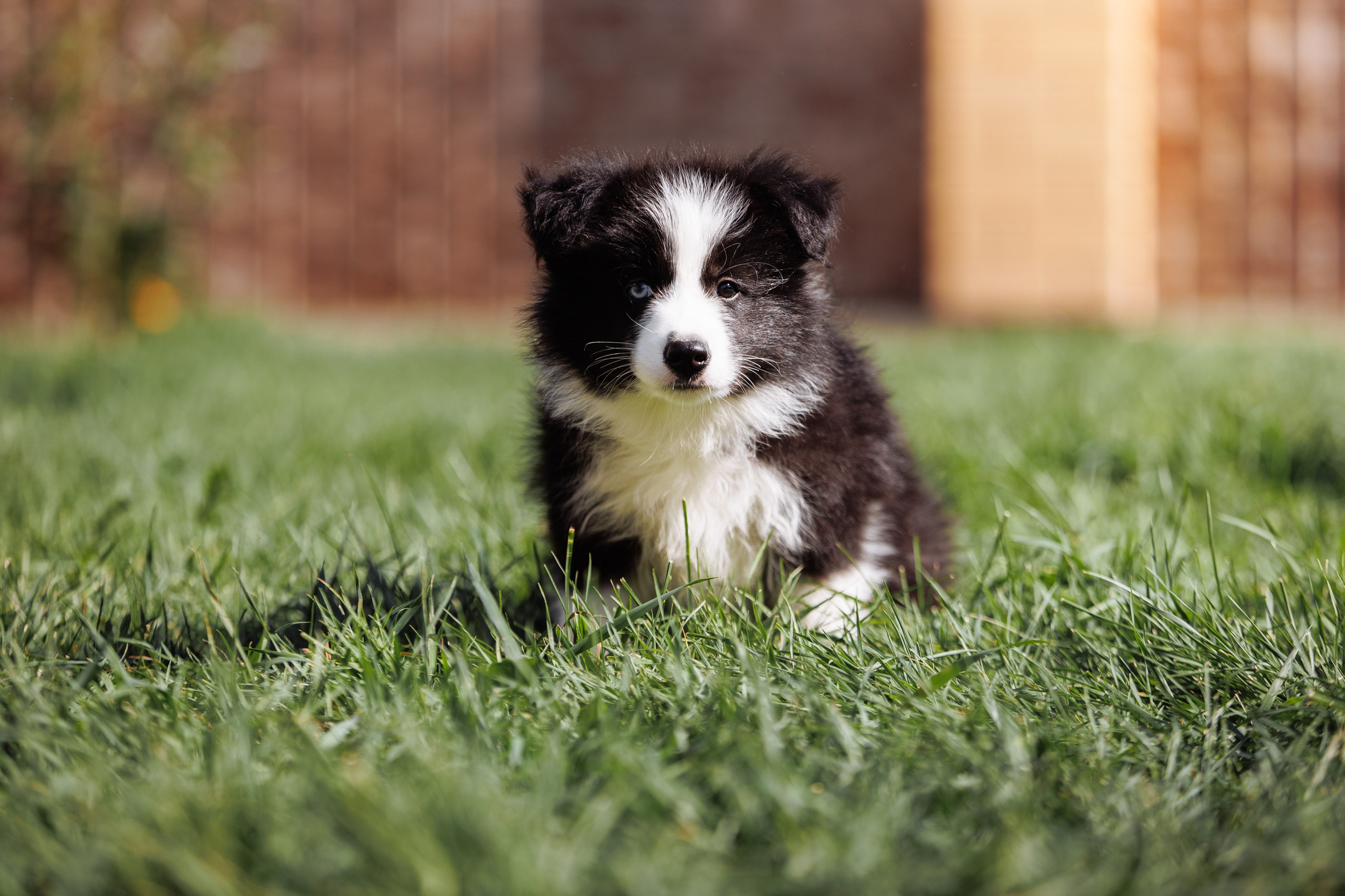 МММ — маленькое мягкое милое. О нас