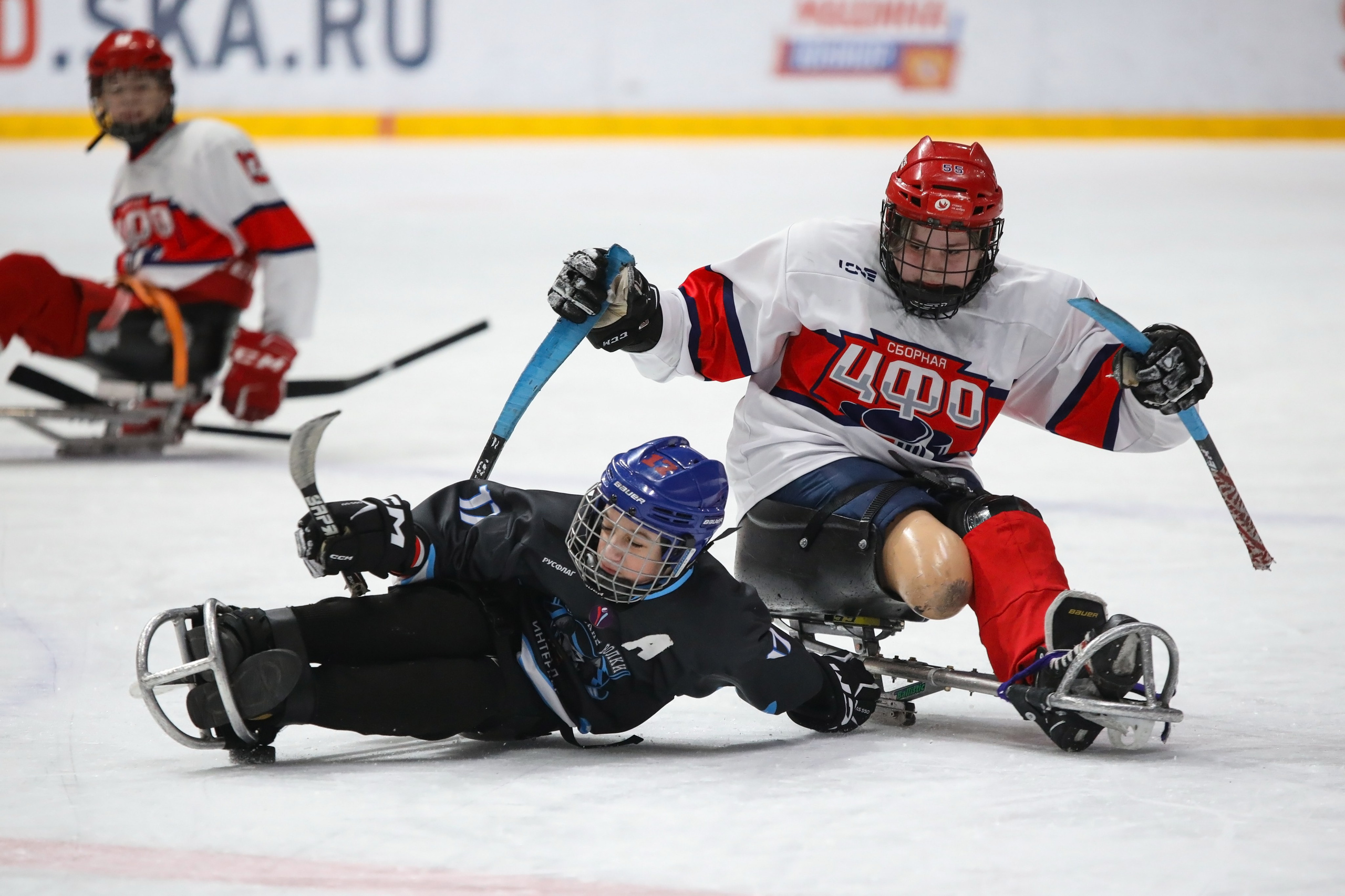Следж-хоккей. Спортивный фотограф в Санкт-Петербурге Наталья Ксенофонтова