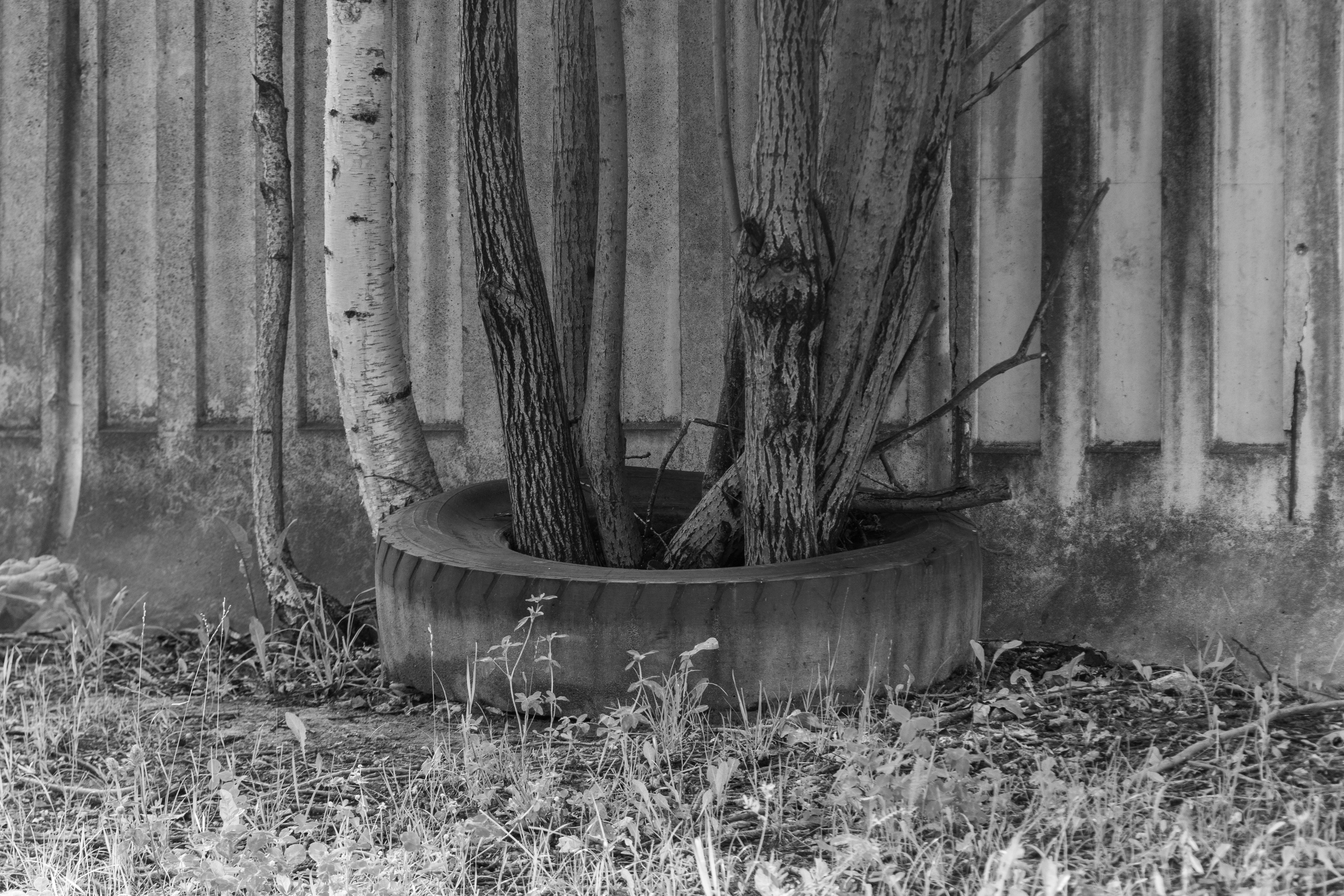 “Bureaucratic Habits”. Mayakovsky Library. 2025. Janie valde |photographer & visual artist