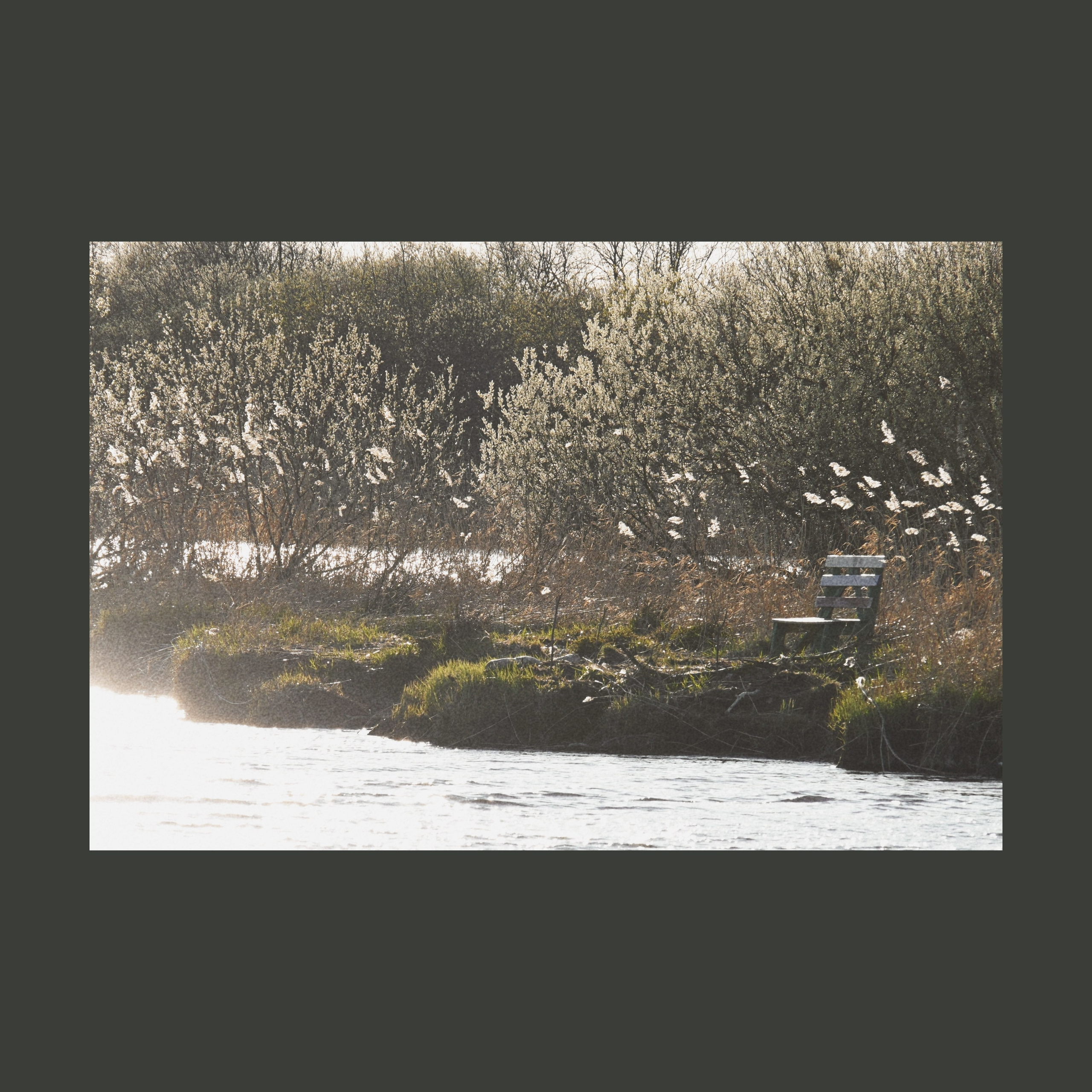 Тишина между берегами (серия). Мистические фотосессии в Санкт-Петербурге от мистика Ильи Шенгелия