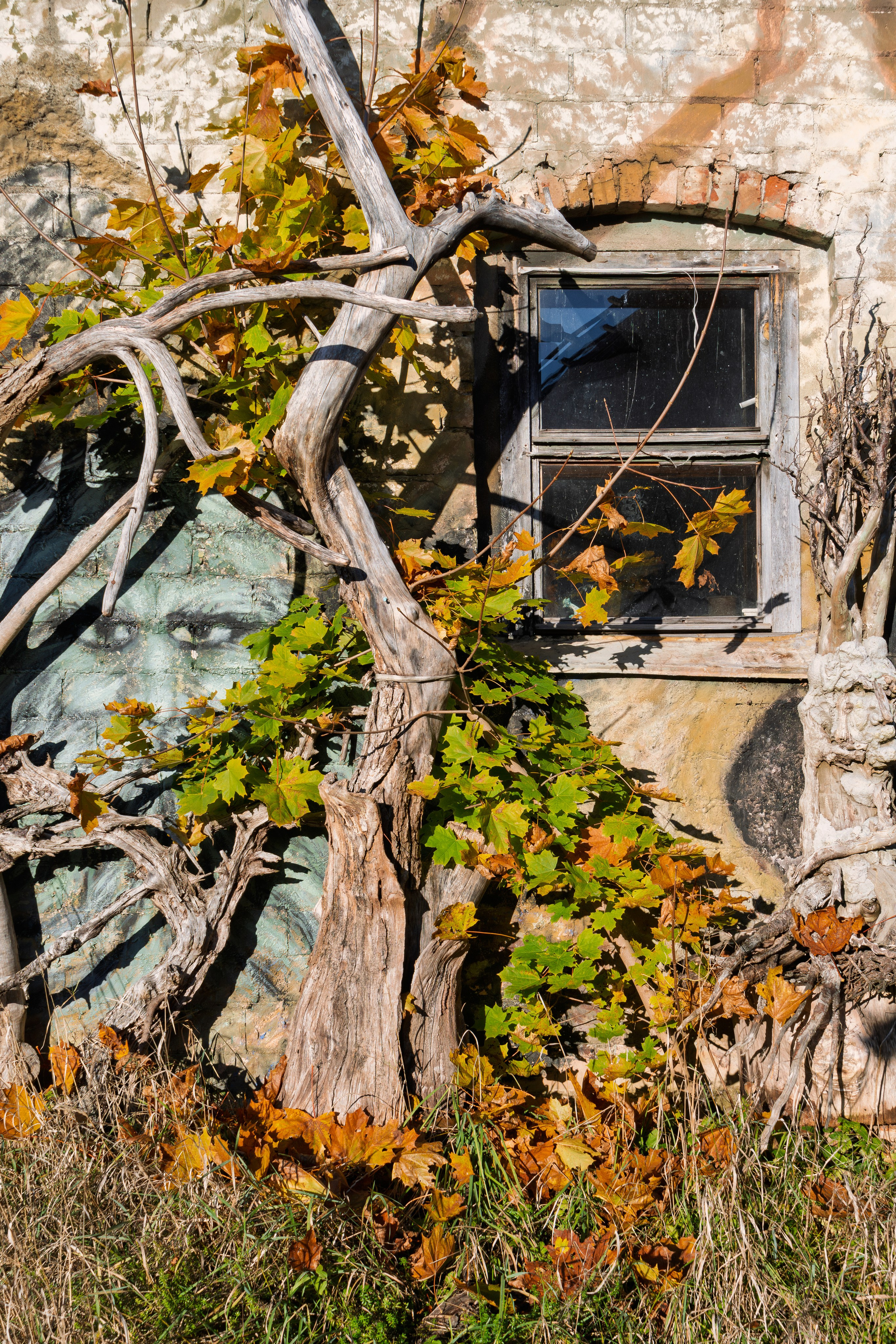 Голубые озера, Псковская область. Октябрь 2024. Фотограф Никифоров-Гордеев Сергей. Москва и МО