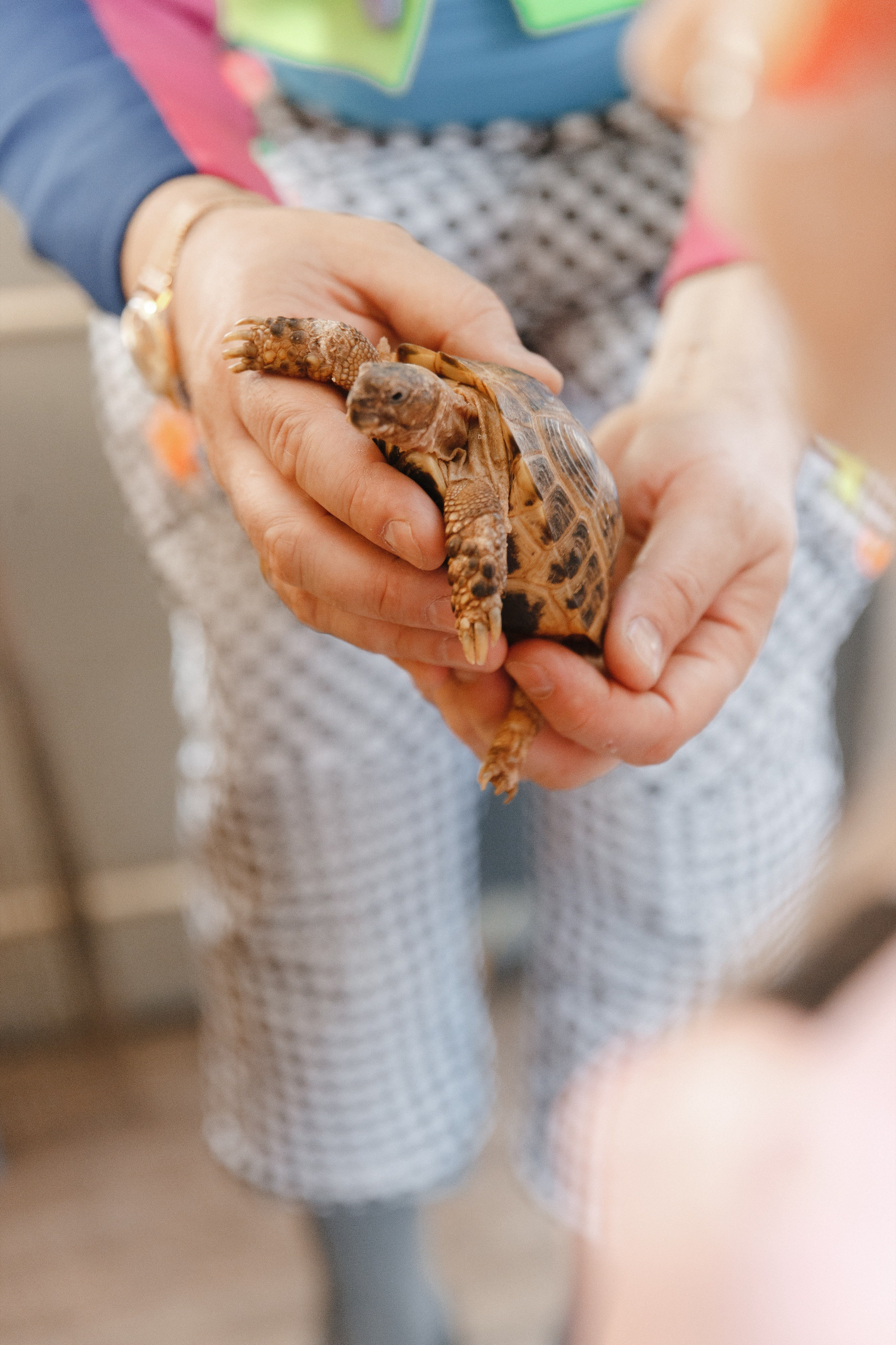 Маруся 5 лет. Фотограф Роман Полянин