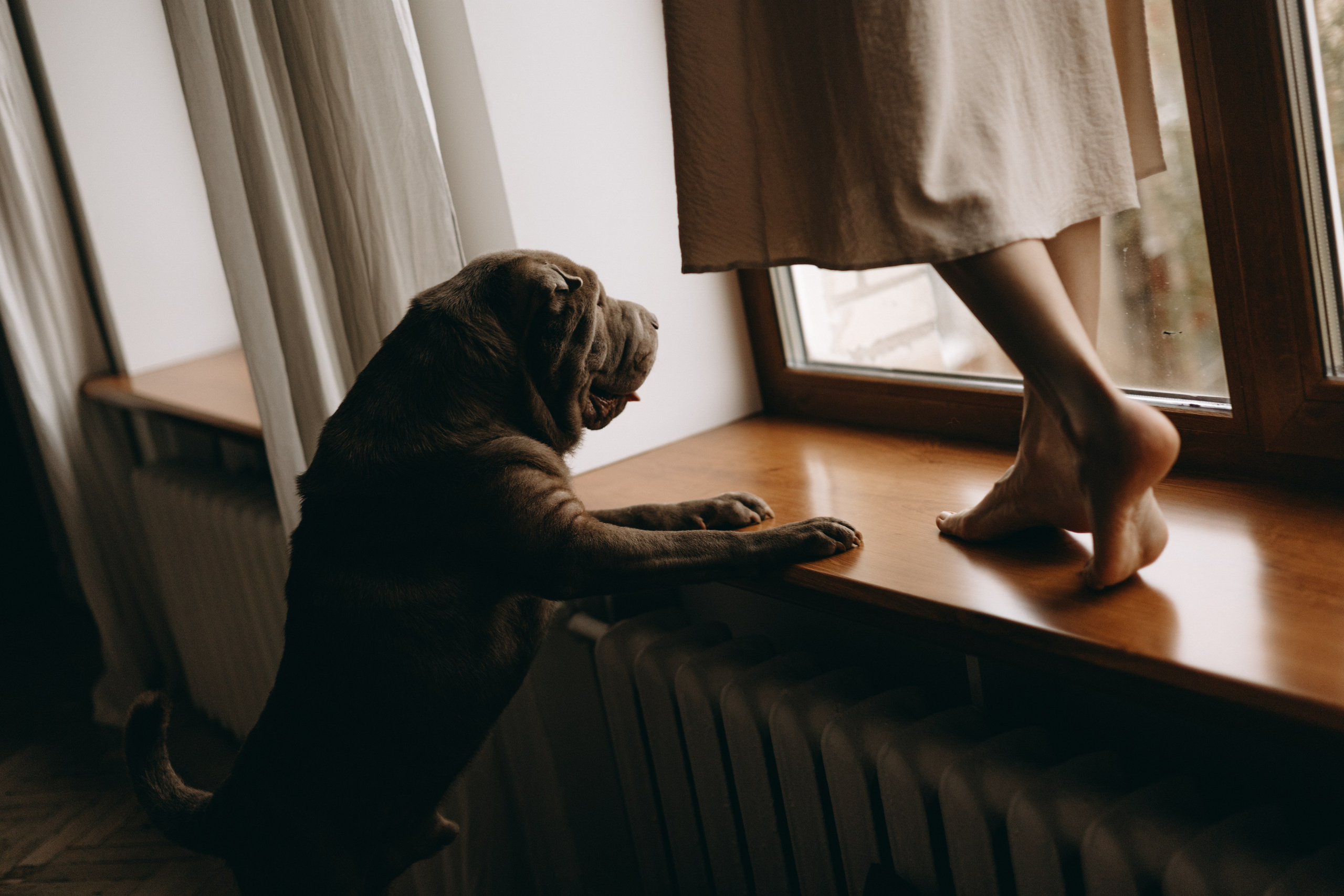 Ульяна и Вагнер. Фотограф — Анималист | Санкт-Петербург