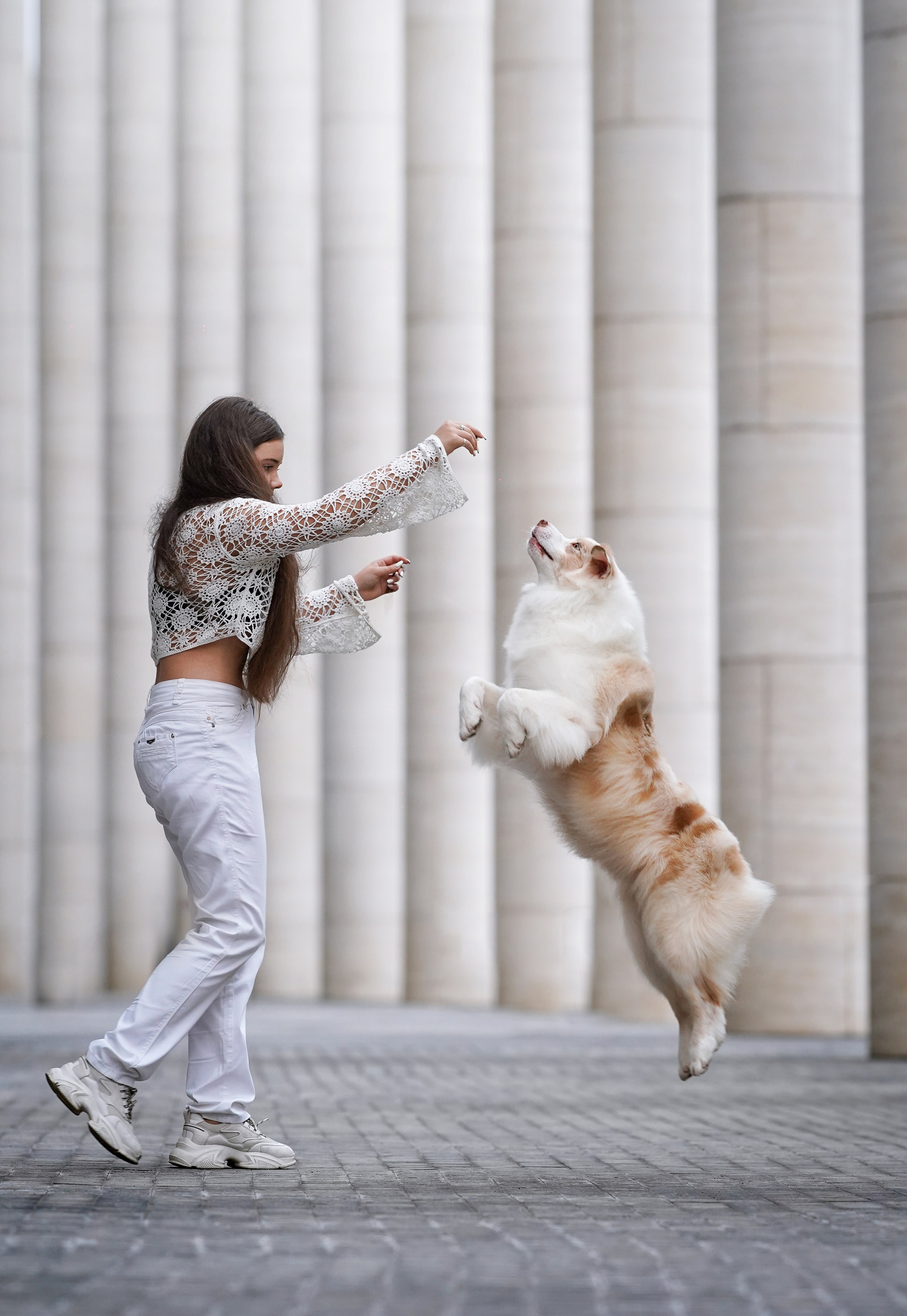 Кристина Катя Гермиона и Бэст. Фотограф-анималист в Санкт-Петербурге Яна Мартынова