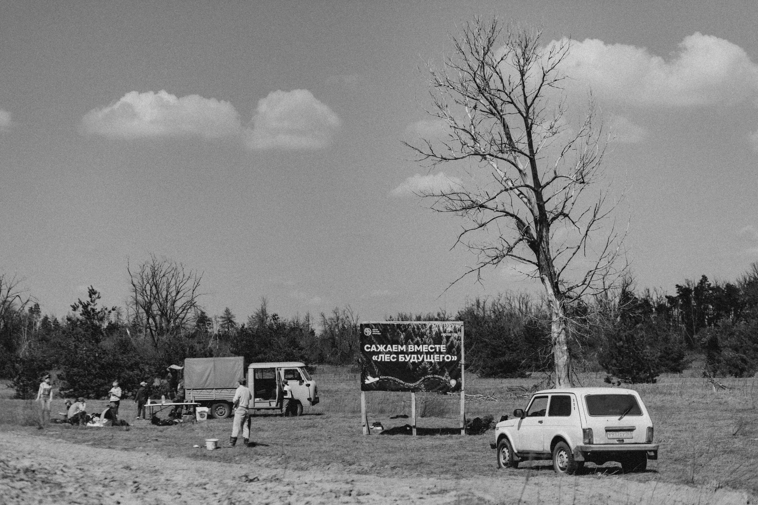 Акция «Лес будущего». Артём Панфилов — Свадебный и семейный фотограф в Ростове-на-Дону