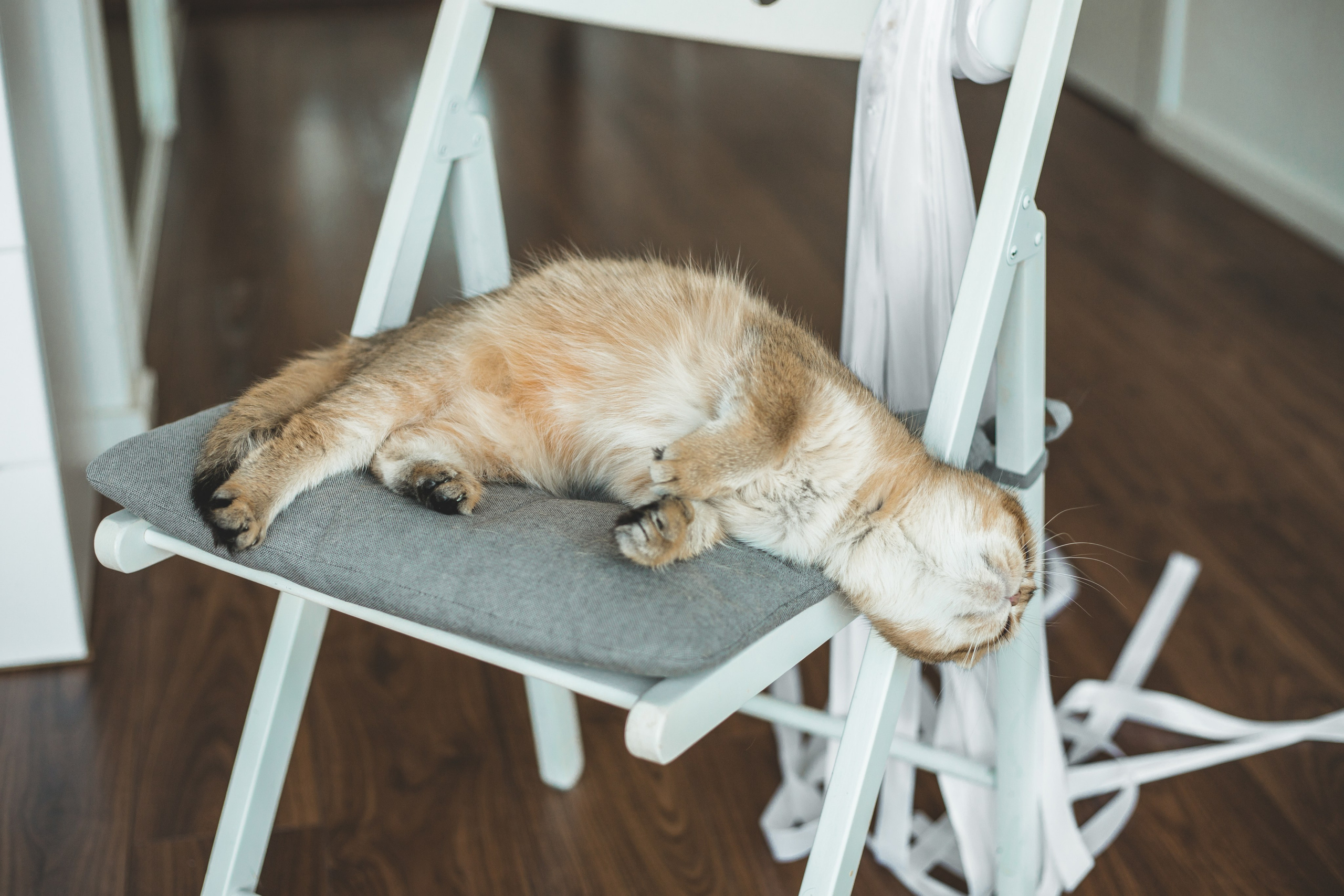 Когда в семье появился ещё один человечек…)) <3. Фотограф Сочи, Адлер, Красная Поляна — Вероника Радченко