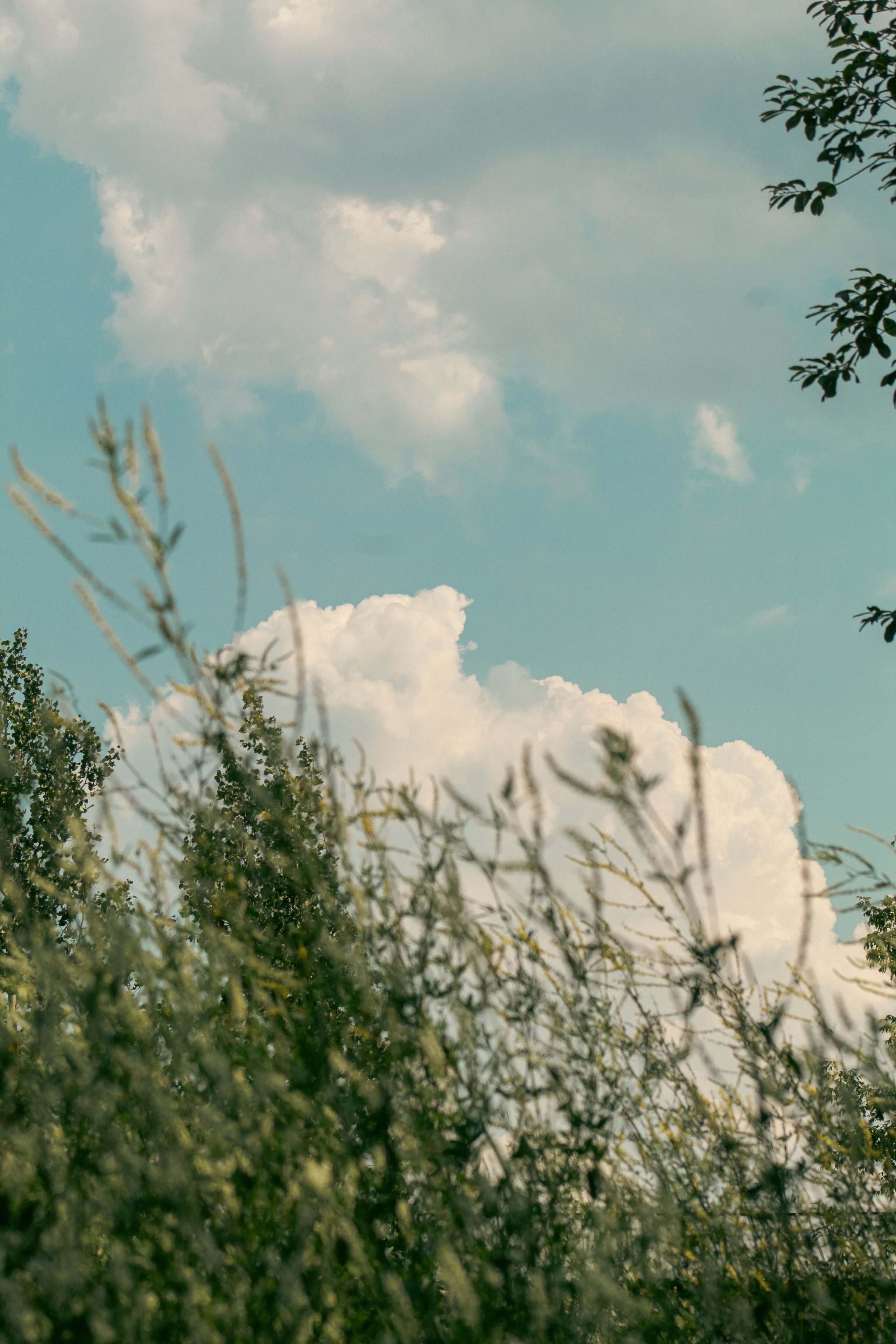 Лето 2024. Dmitriy [KCCC] is a pretty cool photographer