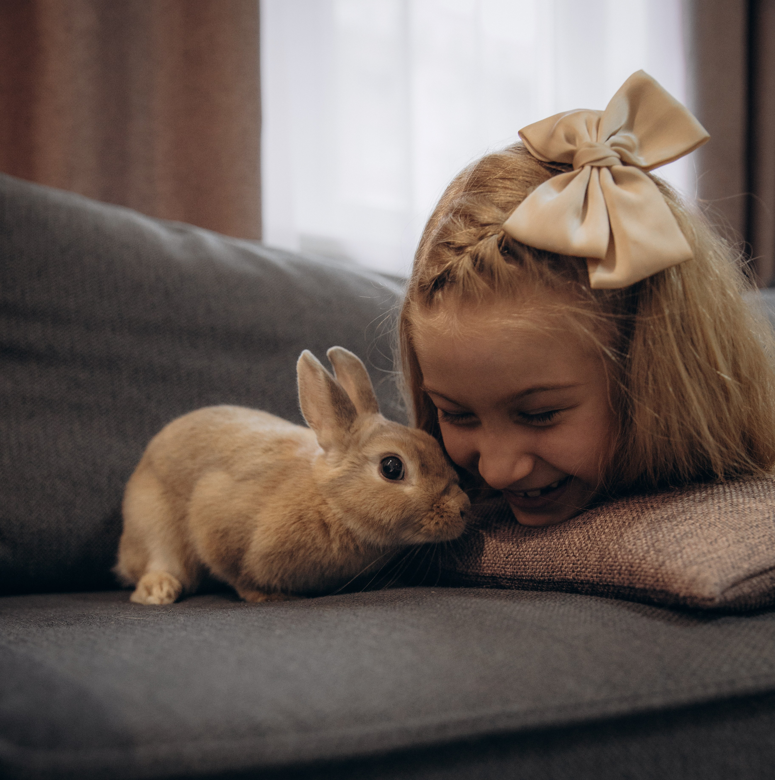 «Ушастые истории». Фотограф Алина Ионычева в Новосибирске