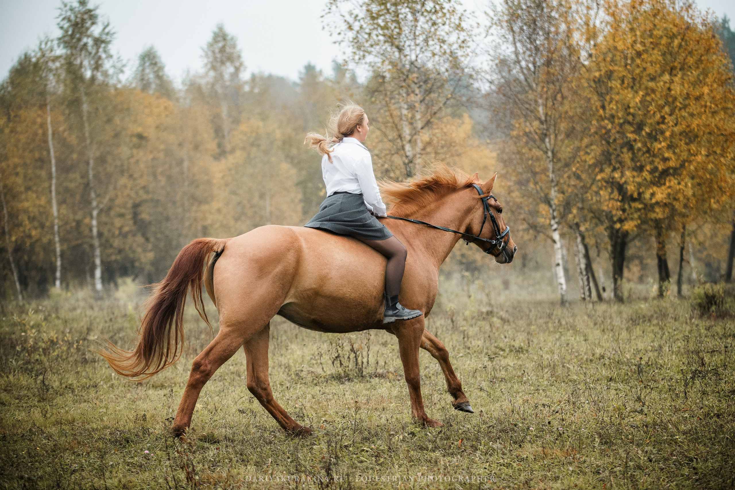 Ира, Тамара и Лена, КСК «БАЛЛАДА». Конный фотограф Куракина Дарья • Фотосессии с лошадьми
