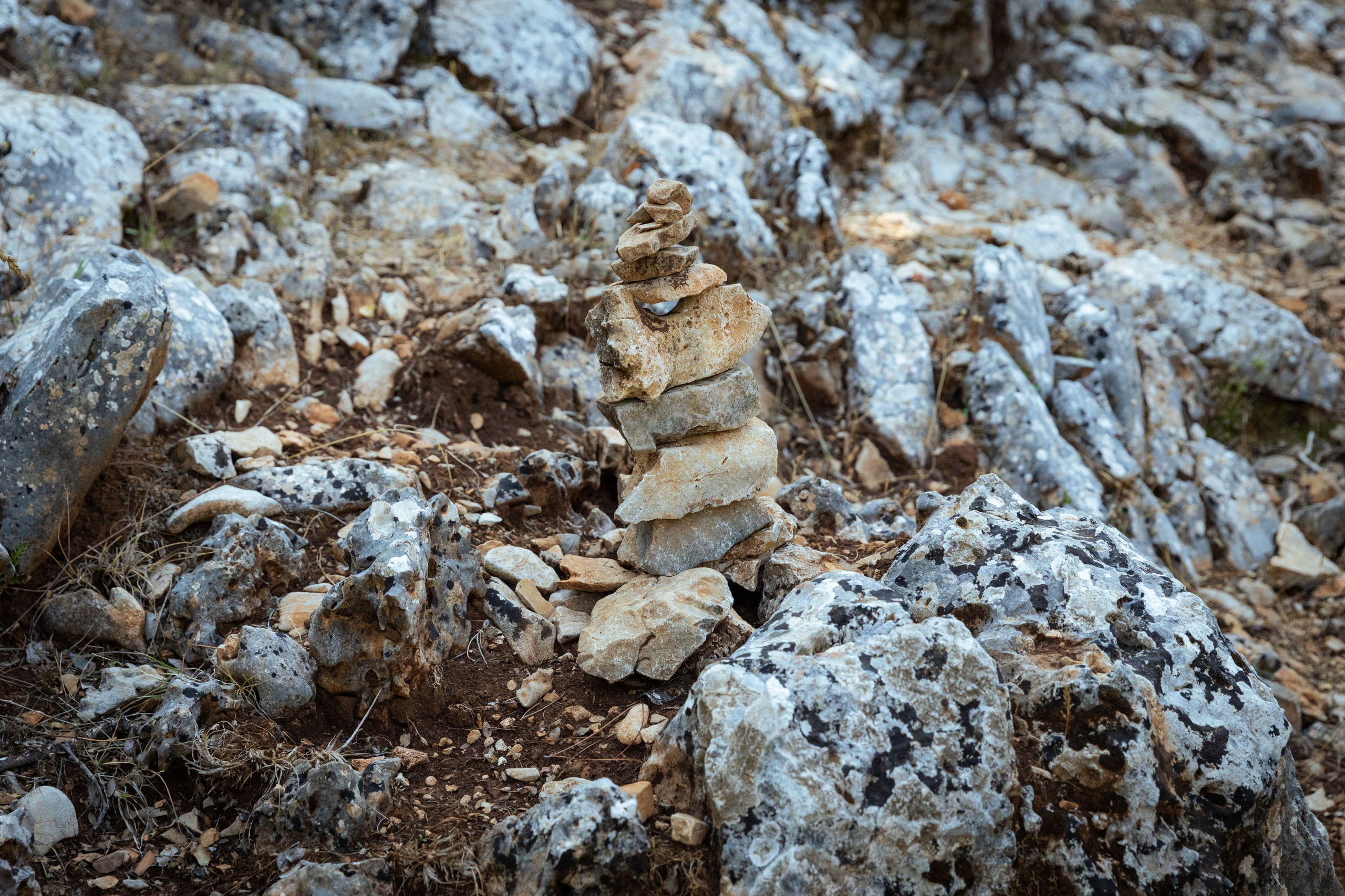 Турция (осень 2023). Фотограф Виноградов Константин