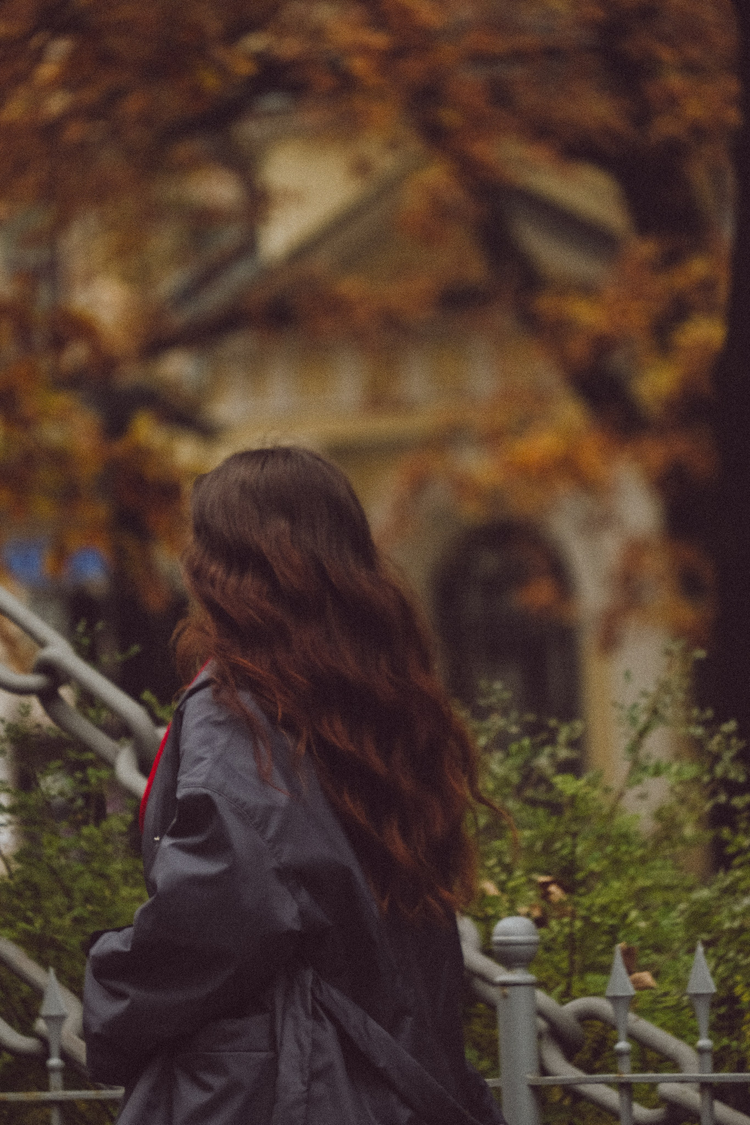 Осень. Профессиональный фотограф, Санкт-Петербург — Виктория Богомолова