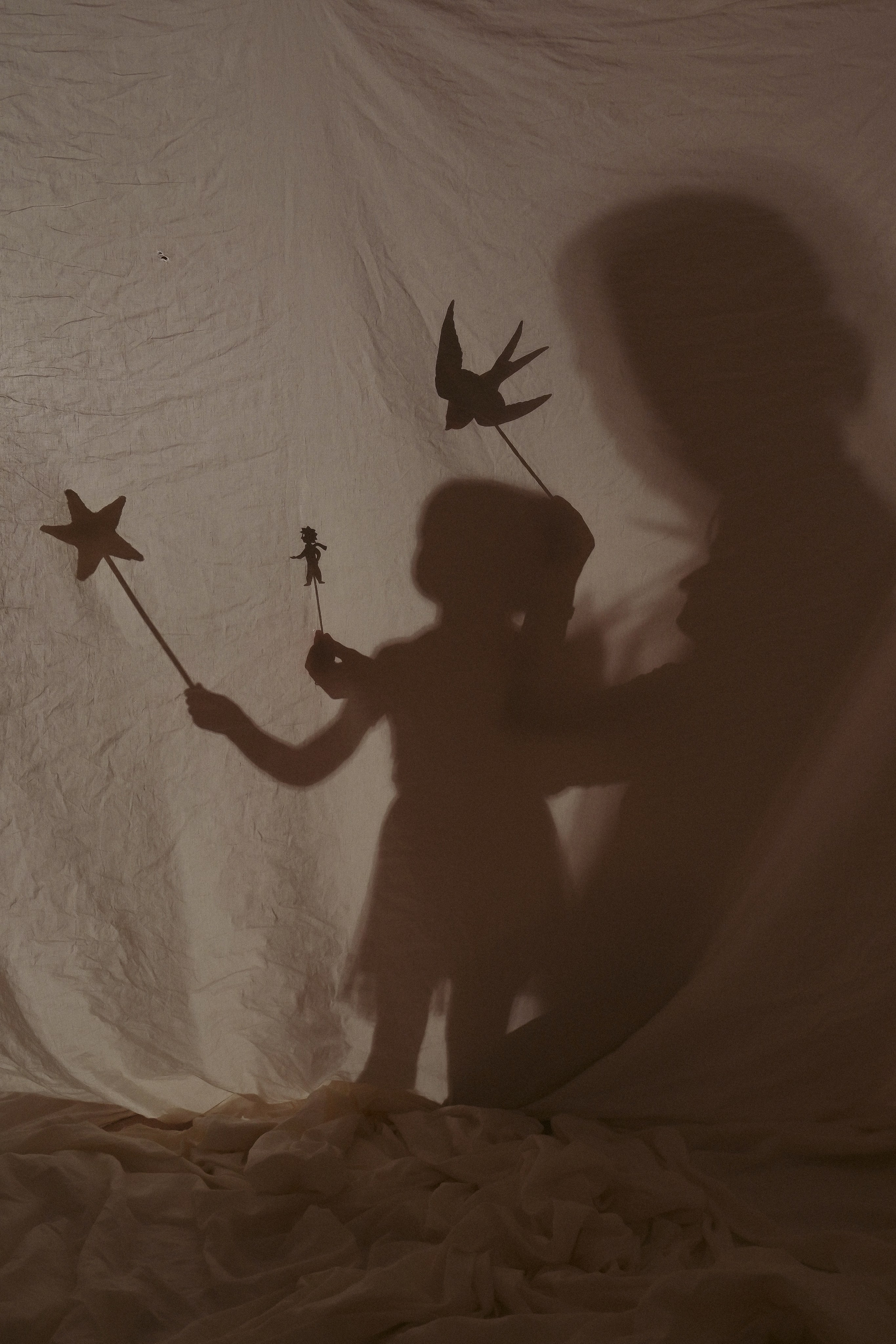 Фотопроект тень. Детский, семейный фотограф: newborn, беременность, годовасие, репортаж. Москва