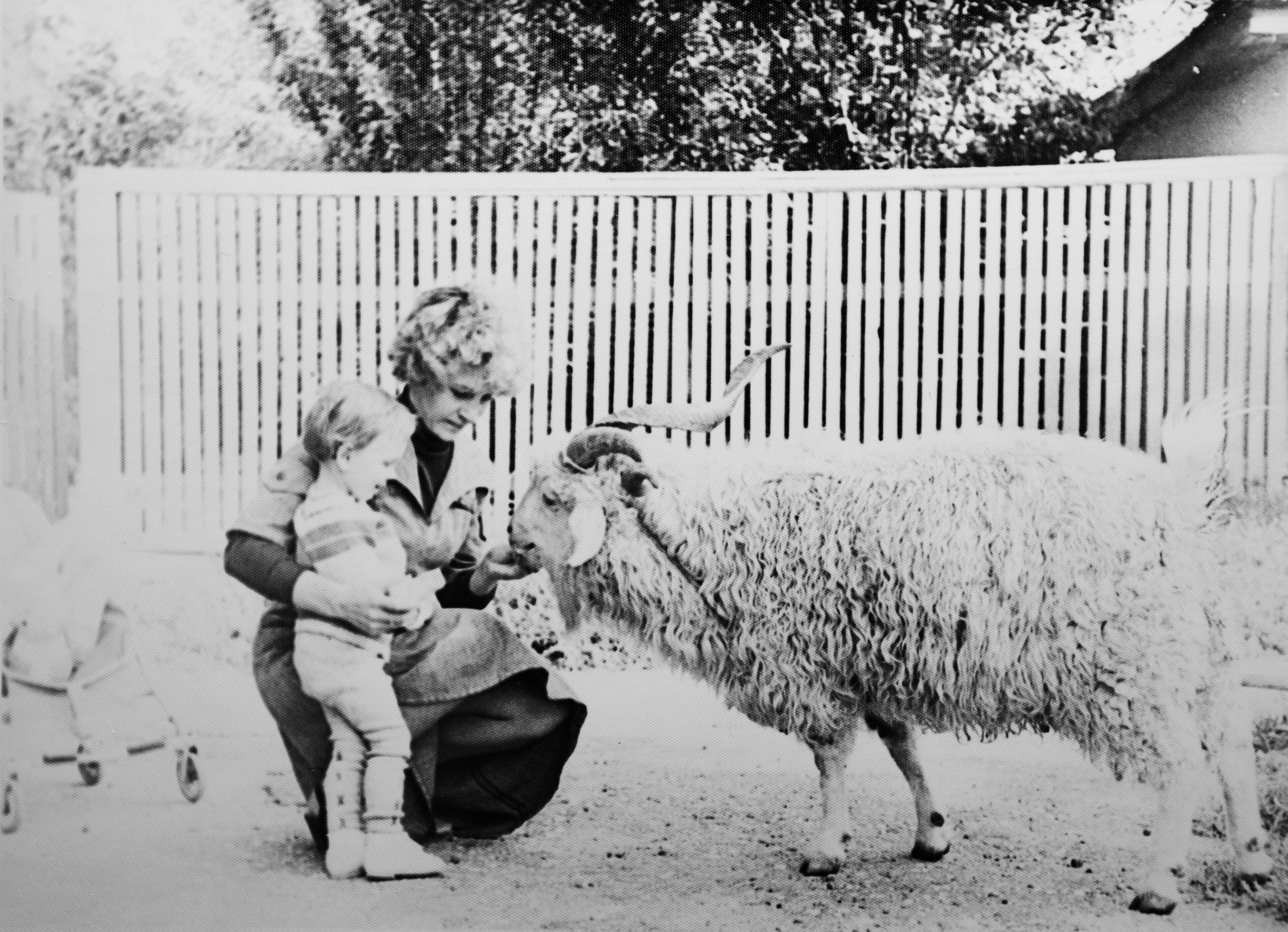 Личные фото. Школьные выпускные альбомы в Москве Марина Николаева